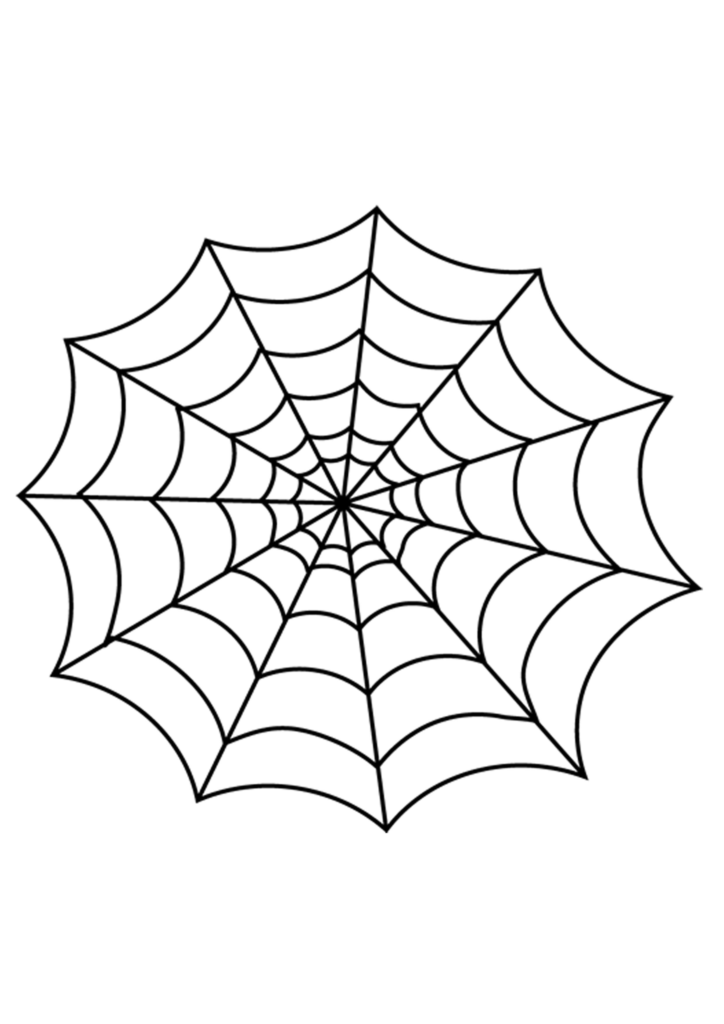 Wallpaper #sQMhZJMBpyOg8YnEWNZf75 Simple Spider Web Drawing at Paintingvalleycom Explore Collection of