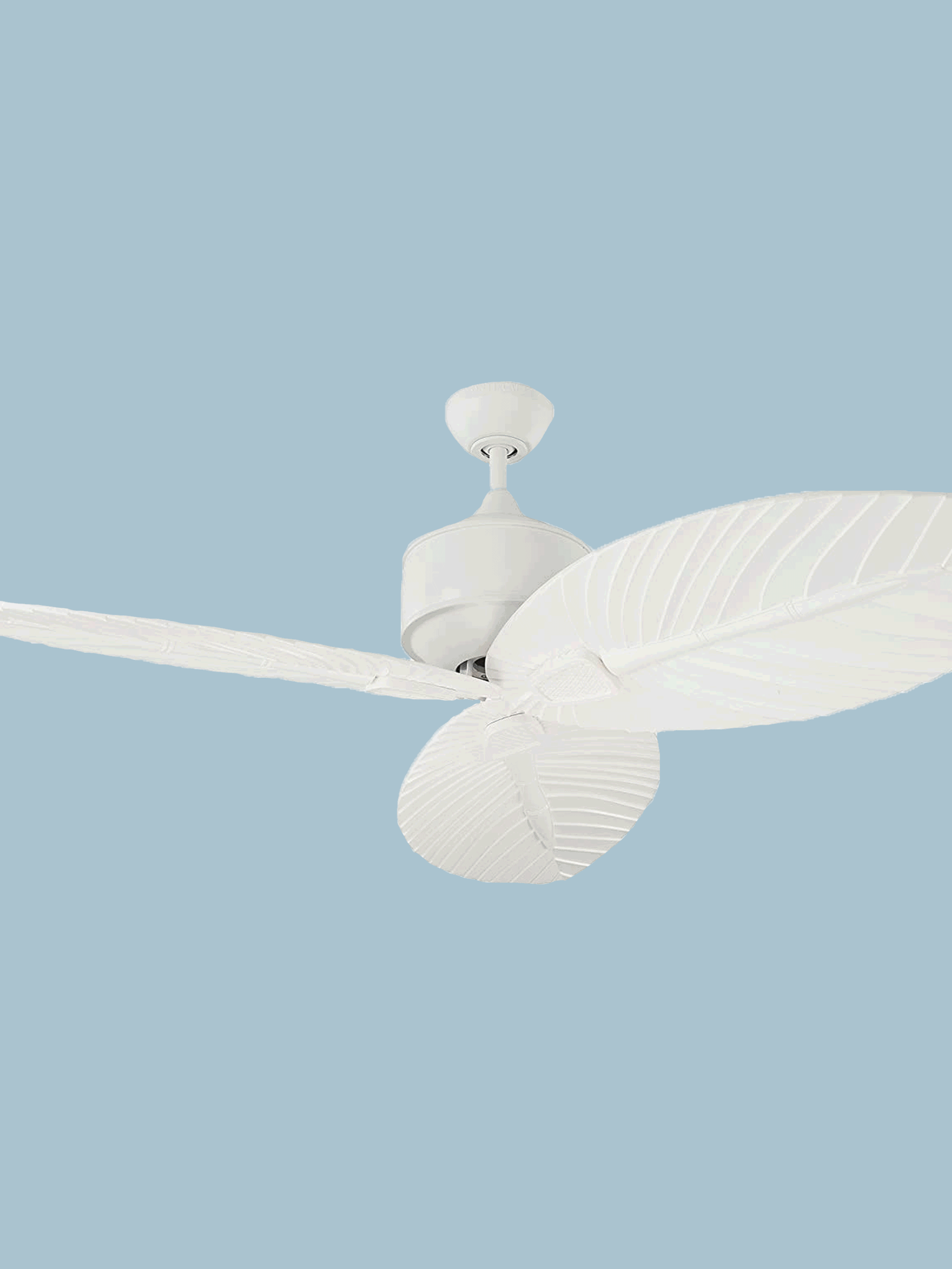 Wallpaper #QEBeMZMBJhL2WPbarMb_310 Best Ceiling Fan Alternatives Review Home Decor