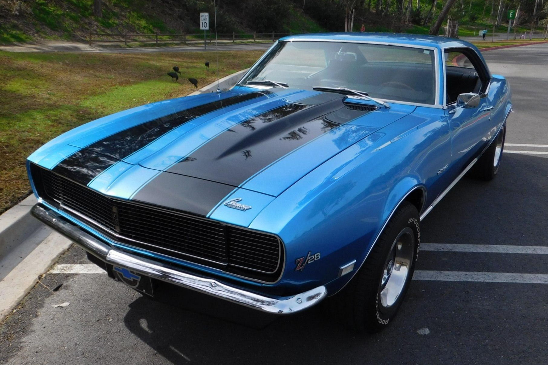 Wallpaper #wYsYdZcBcm9NJah-V3ZU107 1968 Camaro Rs Blue