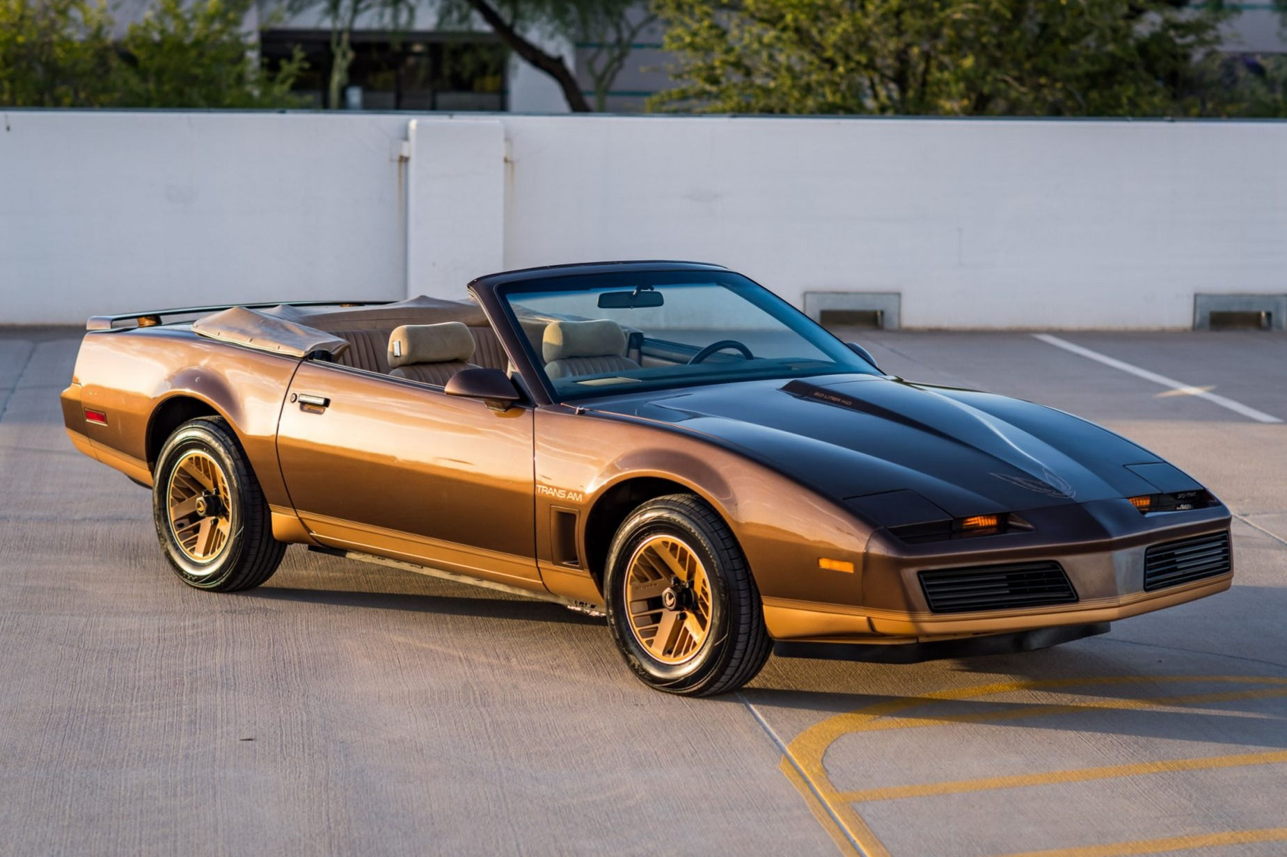 Wallpaper #X3QCwo4B_8f4nGFaSG5v4 1984 Pontiac Trans Am Straman Convertible 5 Speed for Sale on Bat