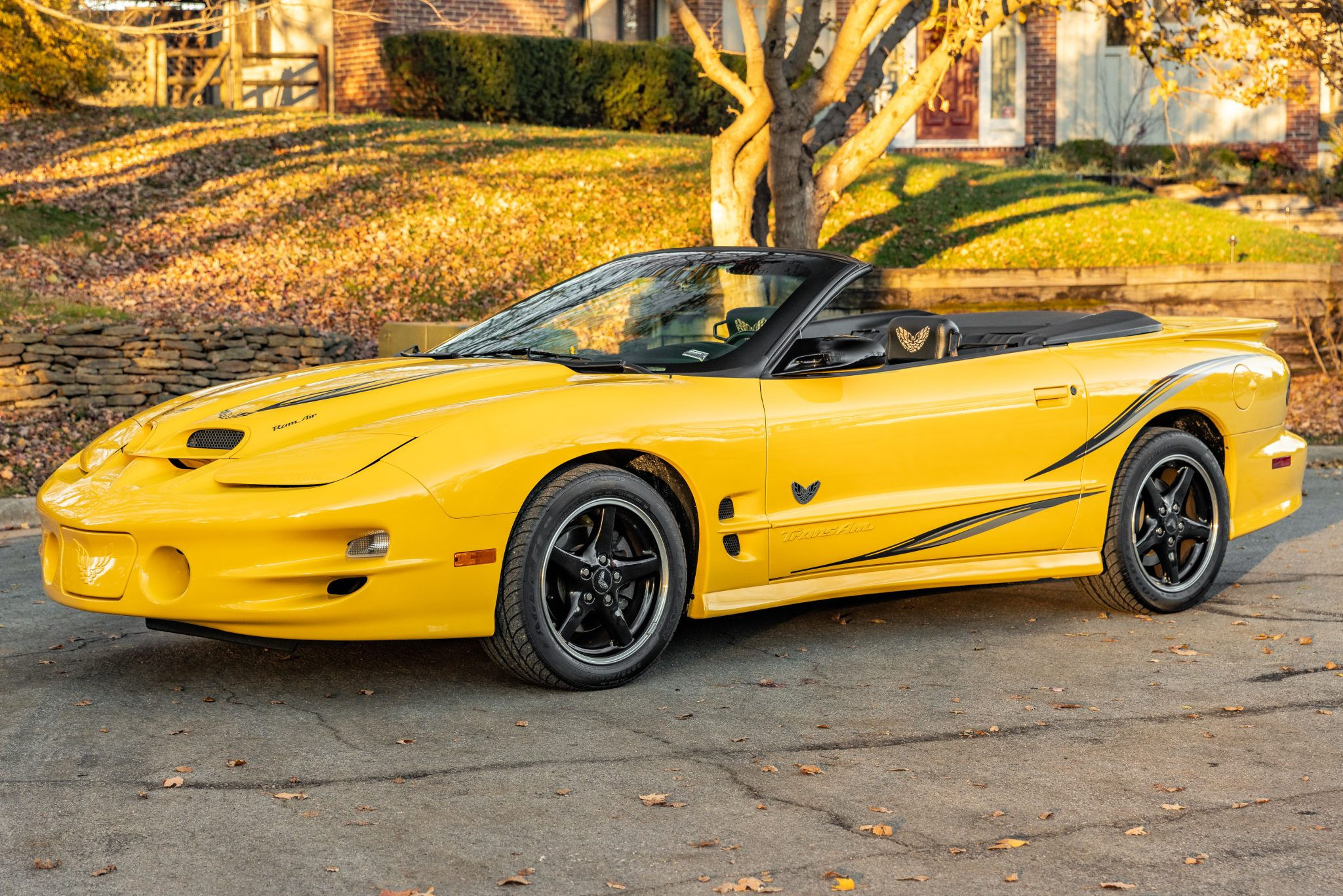 Wallpaper #URl_LI8BtGB6xQ78g5AU17 6K Mile 2002 Pontiac Firebird Trans Am Ws6 Collector Edition
