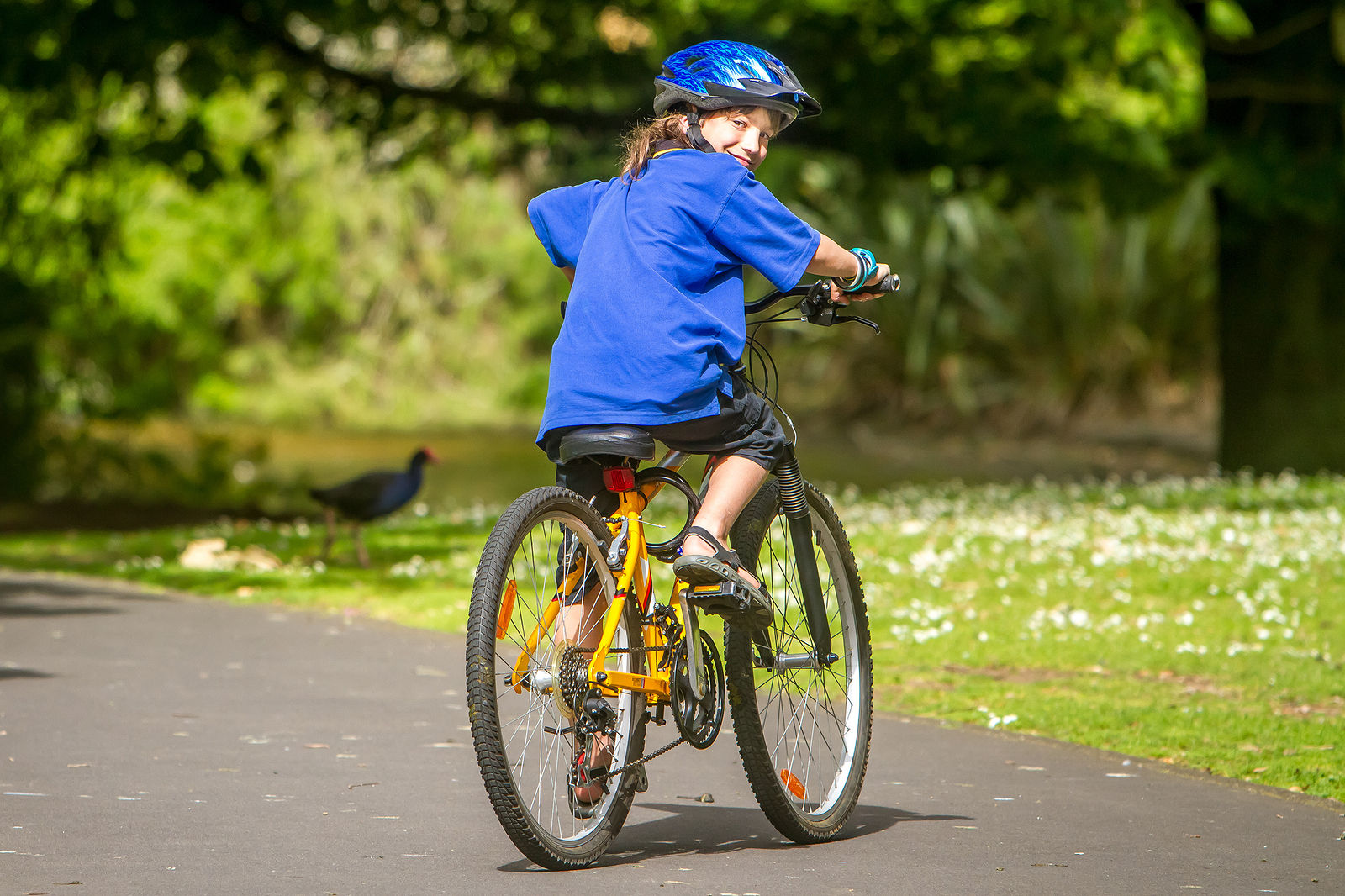 Wallpaper #uxnNEI8BtGB6xQ78JF-522 Bikeability Explained Theschoolrun