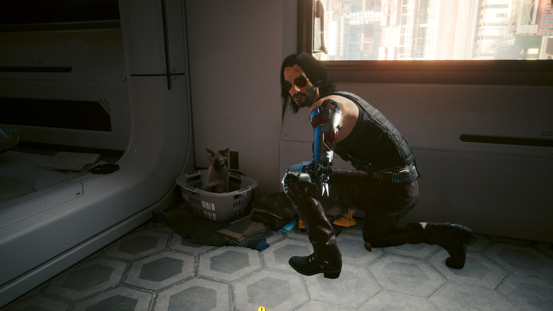 Wallpaper #2W0WaJcBycdYOYFTPW9J0 Cyberpunk 2077 Nibbles How to Snap Your Cat in Photo Mode PC Gamer
