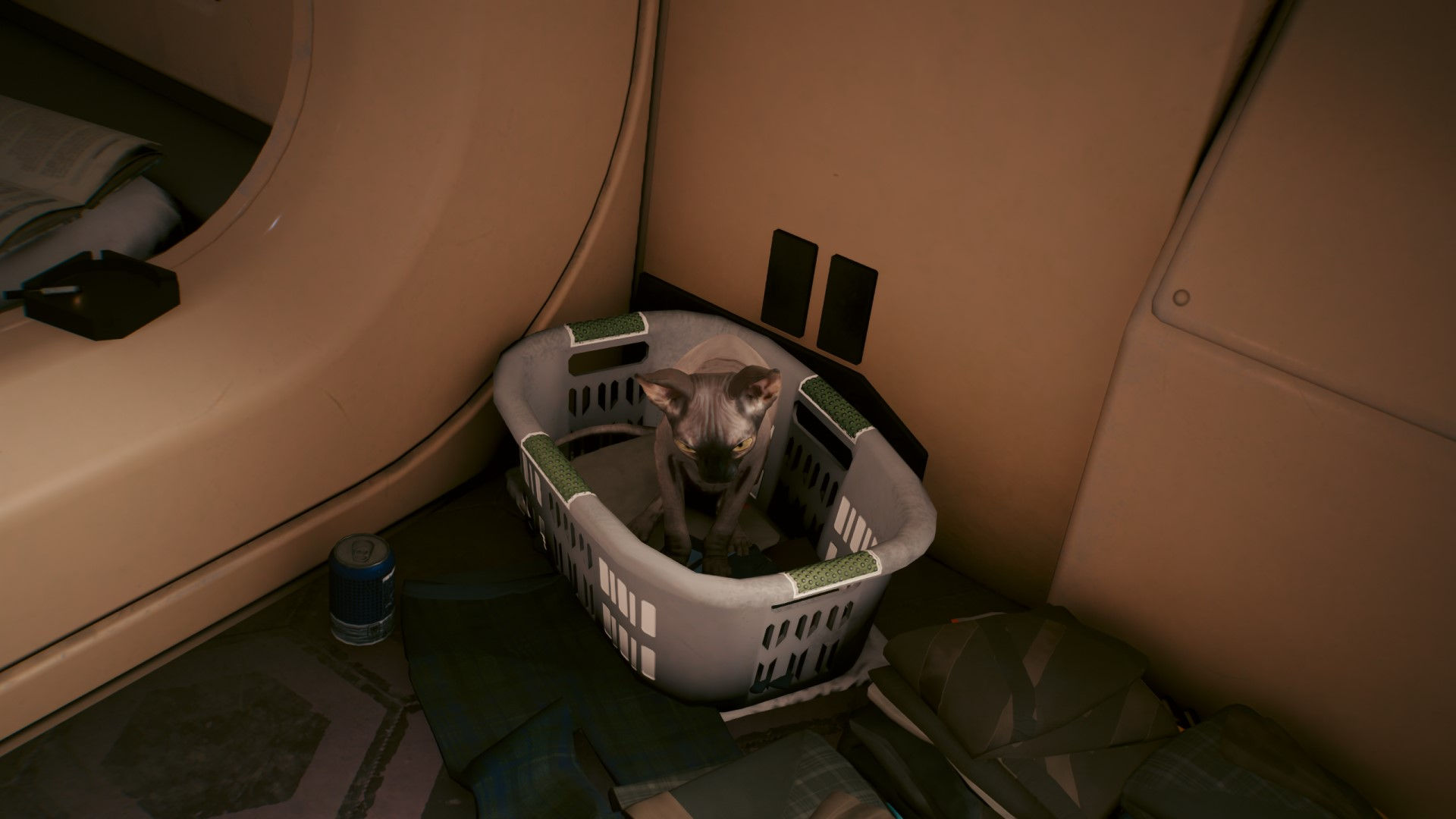Wallpaper #2W0WaJcBycdYOYFTPW9J13 Cyberpunk 2077 Nibbles How to Snap Your Cat in Photo Mode PC Gamer