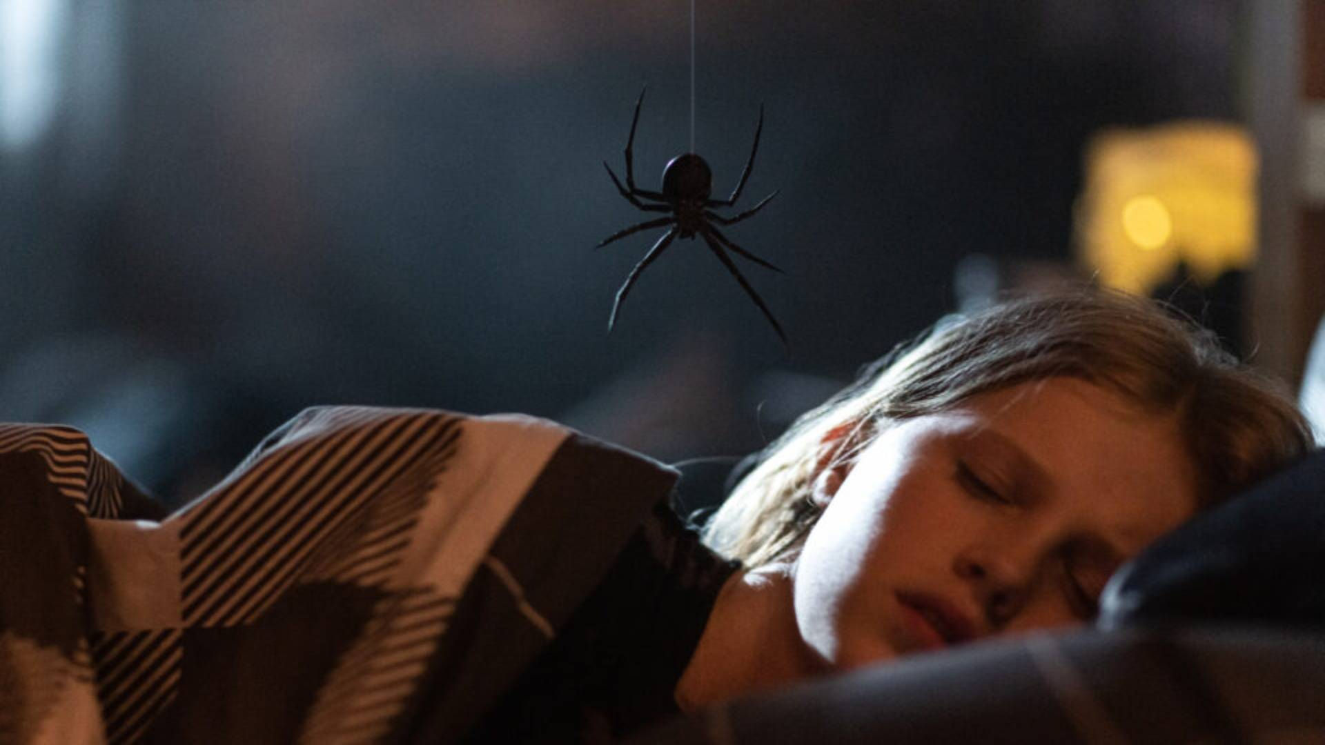 Wallpaper #RfS4OZMBKFX8bn3rZXfT56 New Horror Movie About Killer Spiders Debuts to Strong Rotten Tomatoes