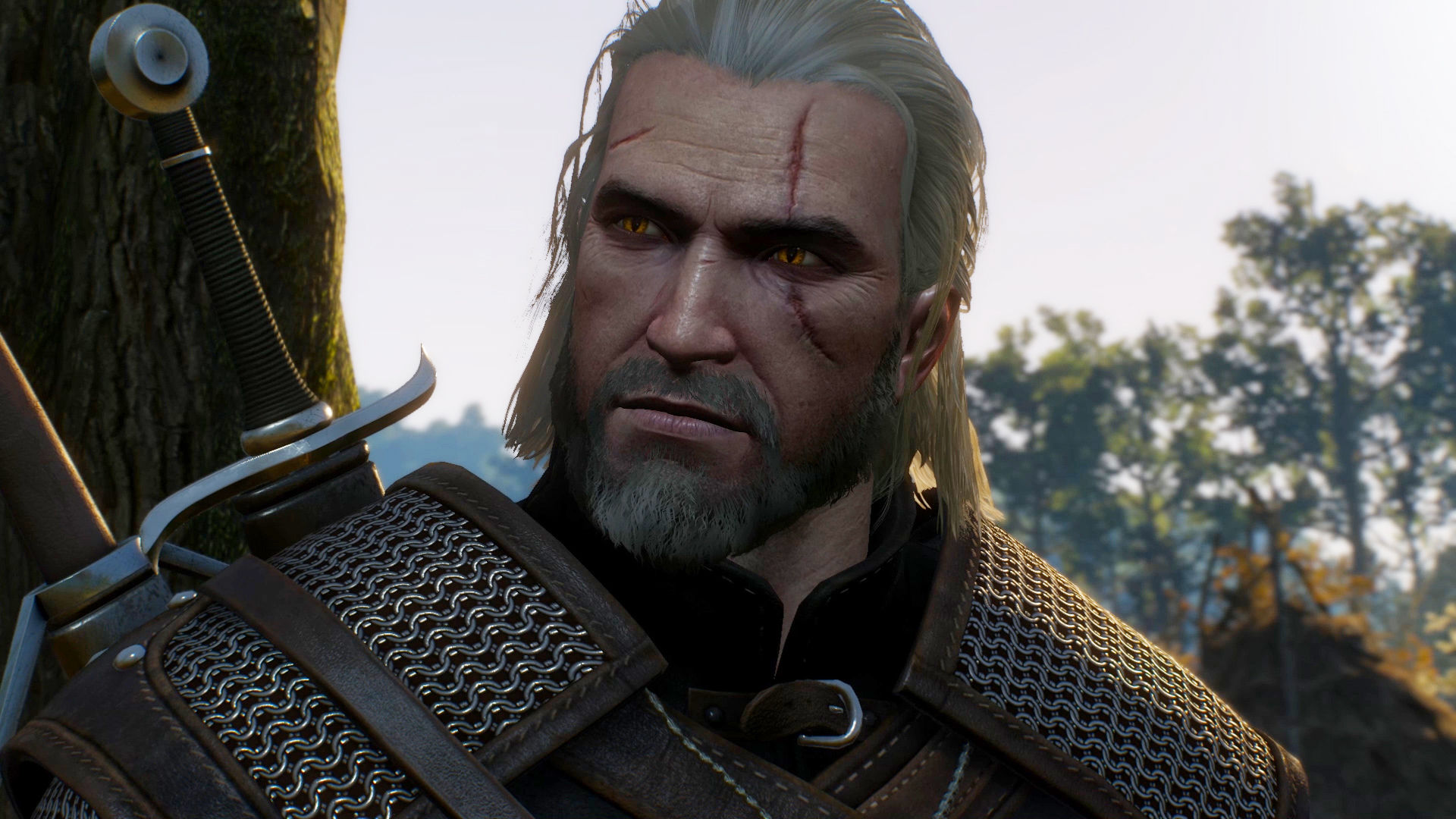 Wallpaper #RkDEMZMBJhL2WPbaNsiW125 The Witcher 3 Wild Hunt Max Settings at 60 FPS PC Gamer