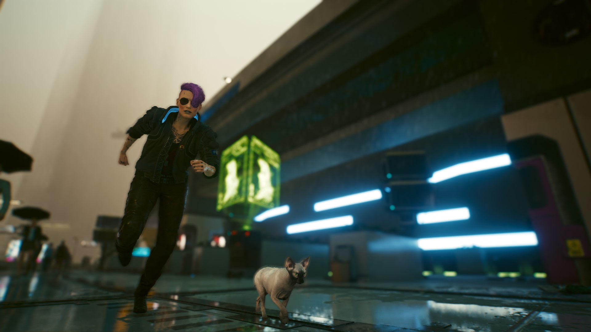 Wallpaper #2W0WaJcBycdYOYFTPW9J11 Cyberpunk 2077 Nibbles How to Snap Your Cat in Photo Mode PC Gamer