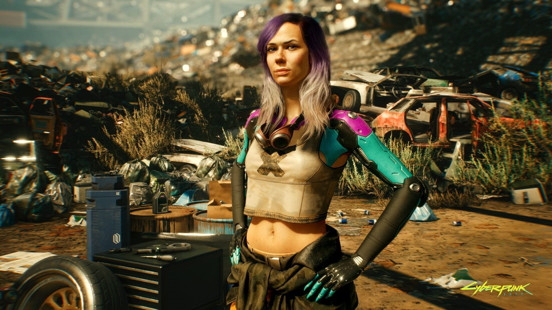 Wallpaper #dxmxII8BtGB6xQ78N36220 Alanah Pearce is in Cyberpunk 2077 as Part of the Nomad Lifepath New