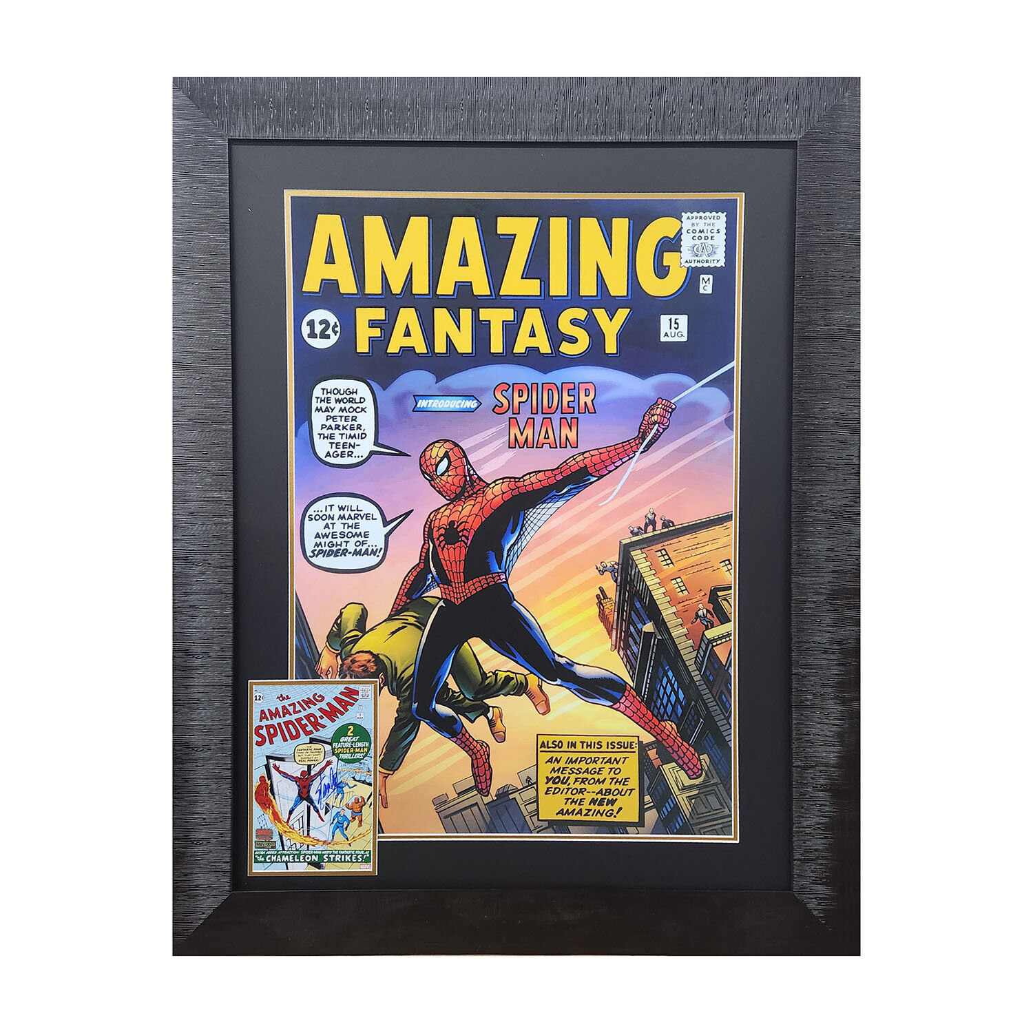 Wallpaper #rlj1M5MBzN9vxX34wDqo3 Spider Man First Appearance Framed Print Signed by Stan Lee Autograph
