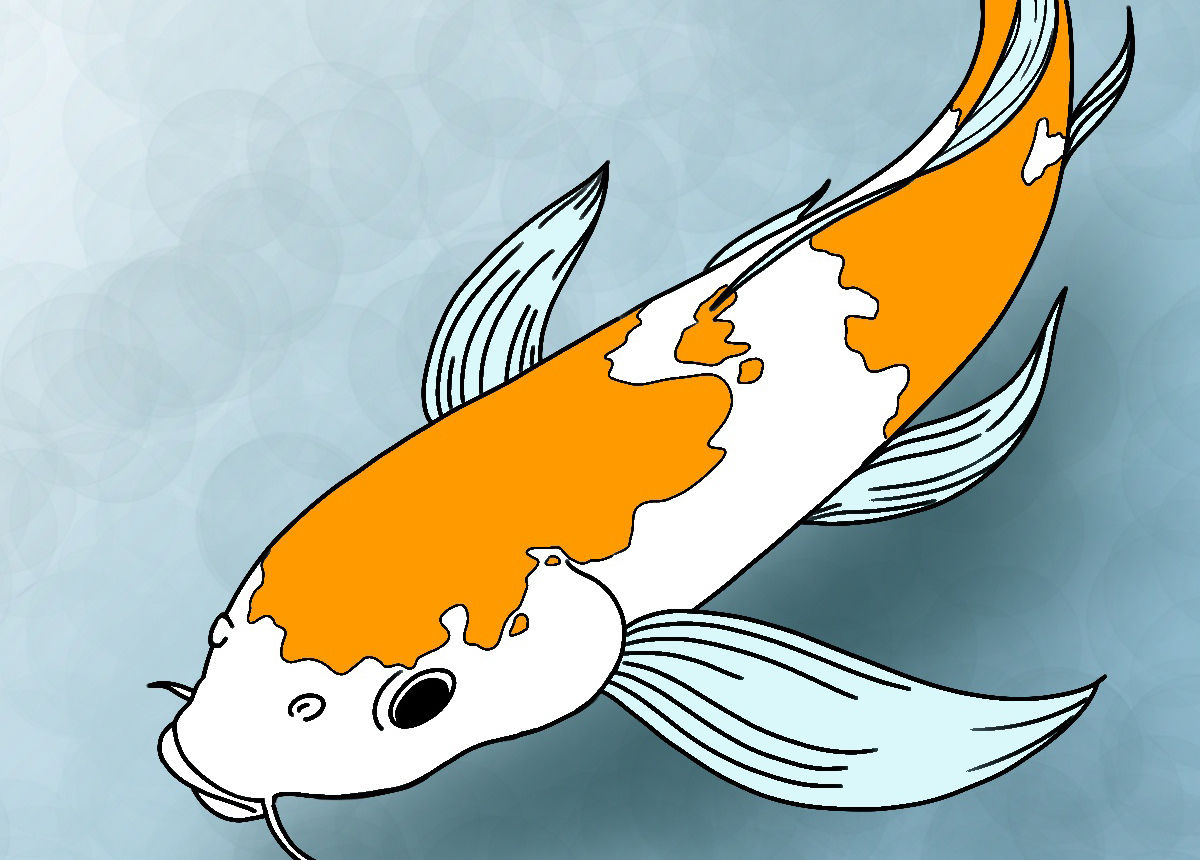 Wallpaper #4f2e6 Koi Fish Heart Original Watercolor Painting Etsy