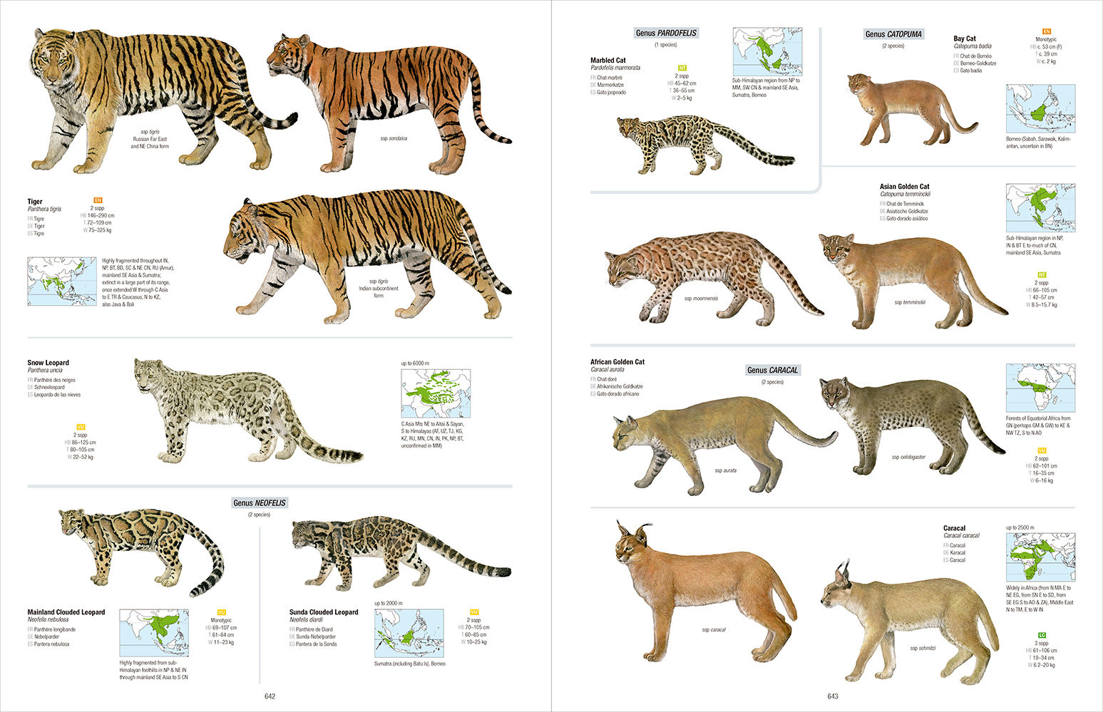 Wallpaper #dx2vLJMBlOZrFDOkYst5299 Review All the Mammals of the World Mammal Watching
