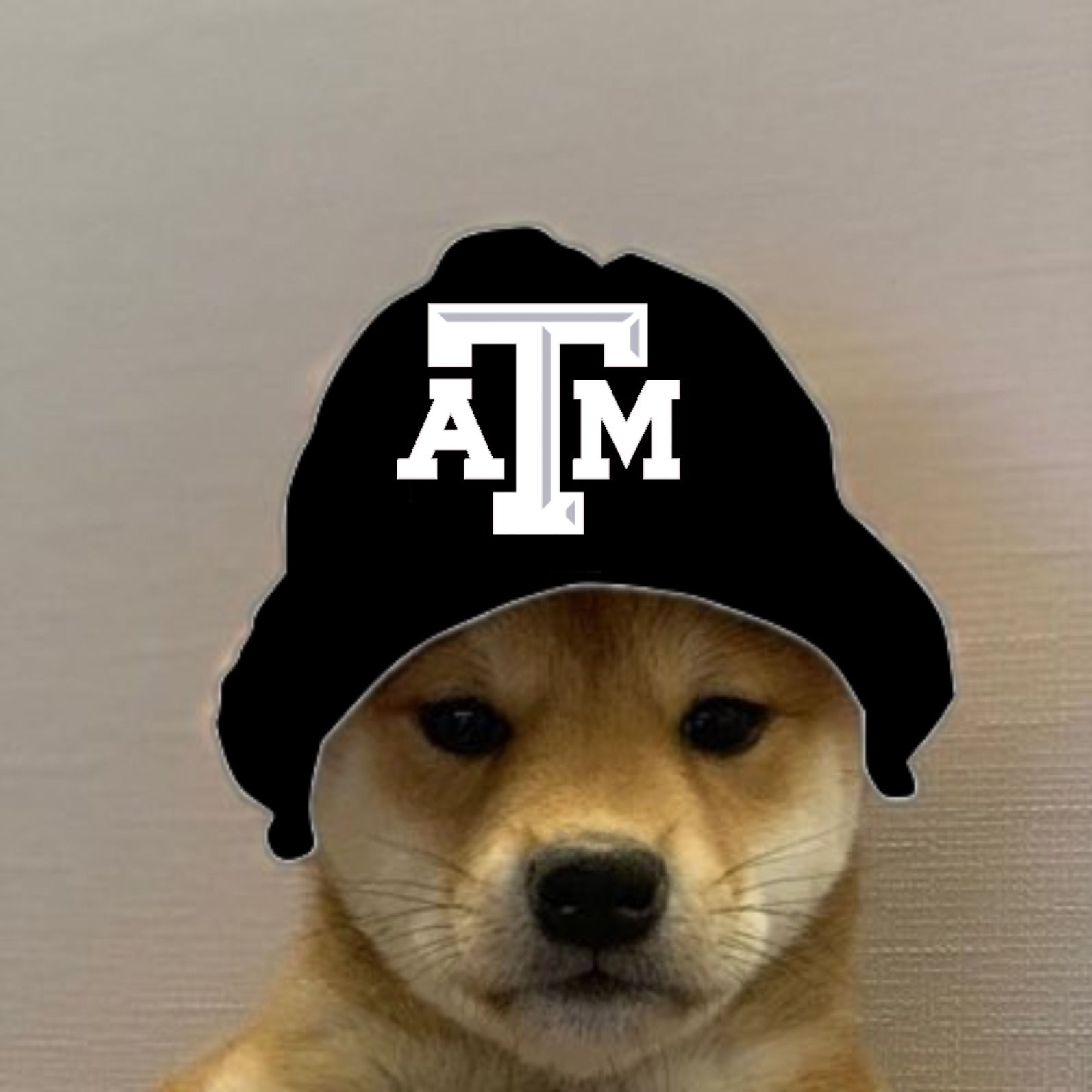 Wallpaper #_RlqDo8BtGB6xQ78C1kk13 Meme Pfp Dog Matching Icons in 2020 Dog Icon Animal Icon
