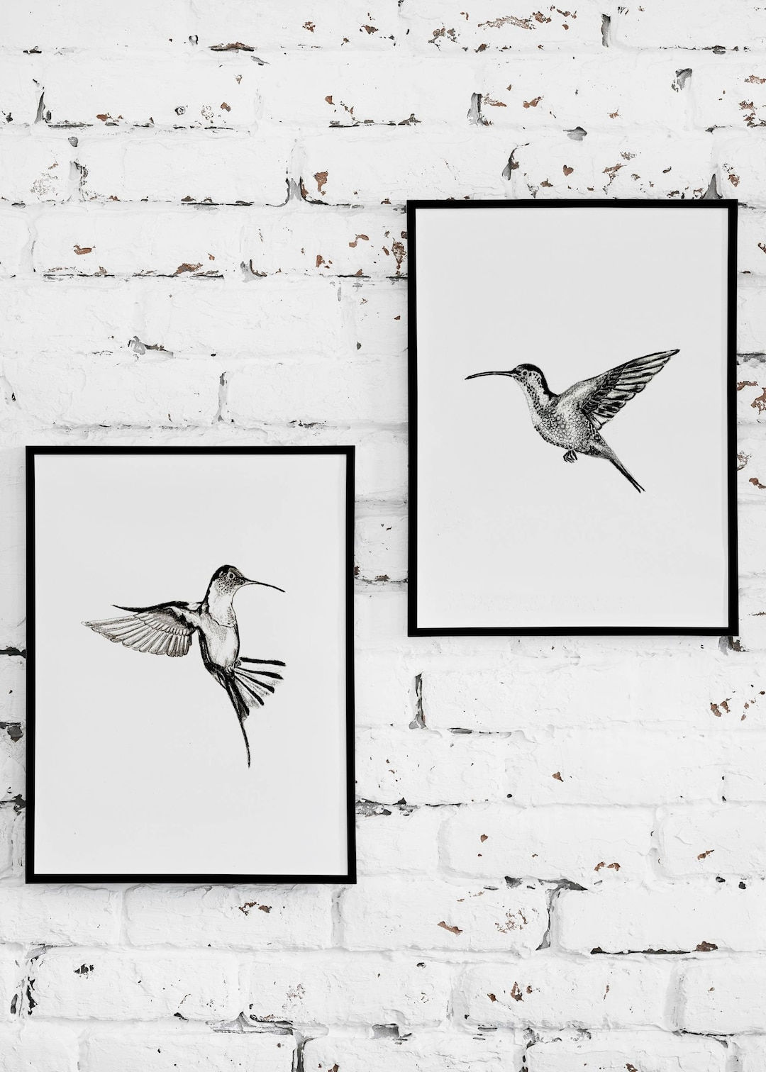 Wallpaper #2Gdl5pIBSpphPi3-lzJ5287 Hummingbird Art Print Bird Drawing Decor 8x10 Set of 2 Etsy