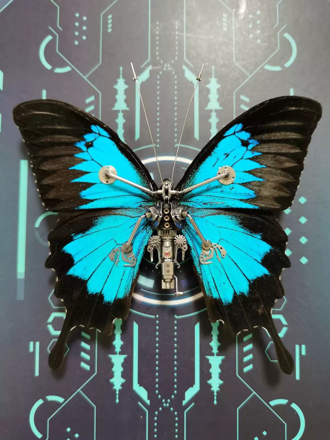 Wallpaper #tX0I8o4Bnwiau_P6yAoe1 Cyberpunk Butterfly Papilio Ulysses with a Mechanical Wing Framed