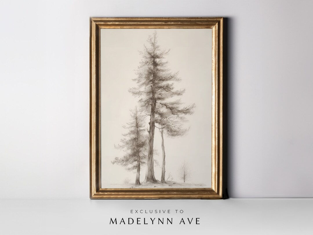Wallpaper #BGdQC5MBSpphPi3-qtkV81 Modern Pine Tree Art Print Pine Tree Sketch Art Print Abstract