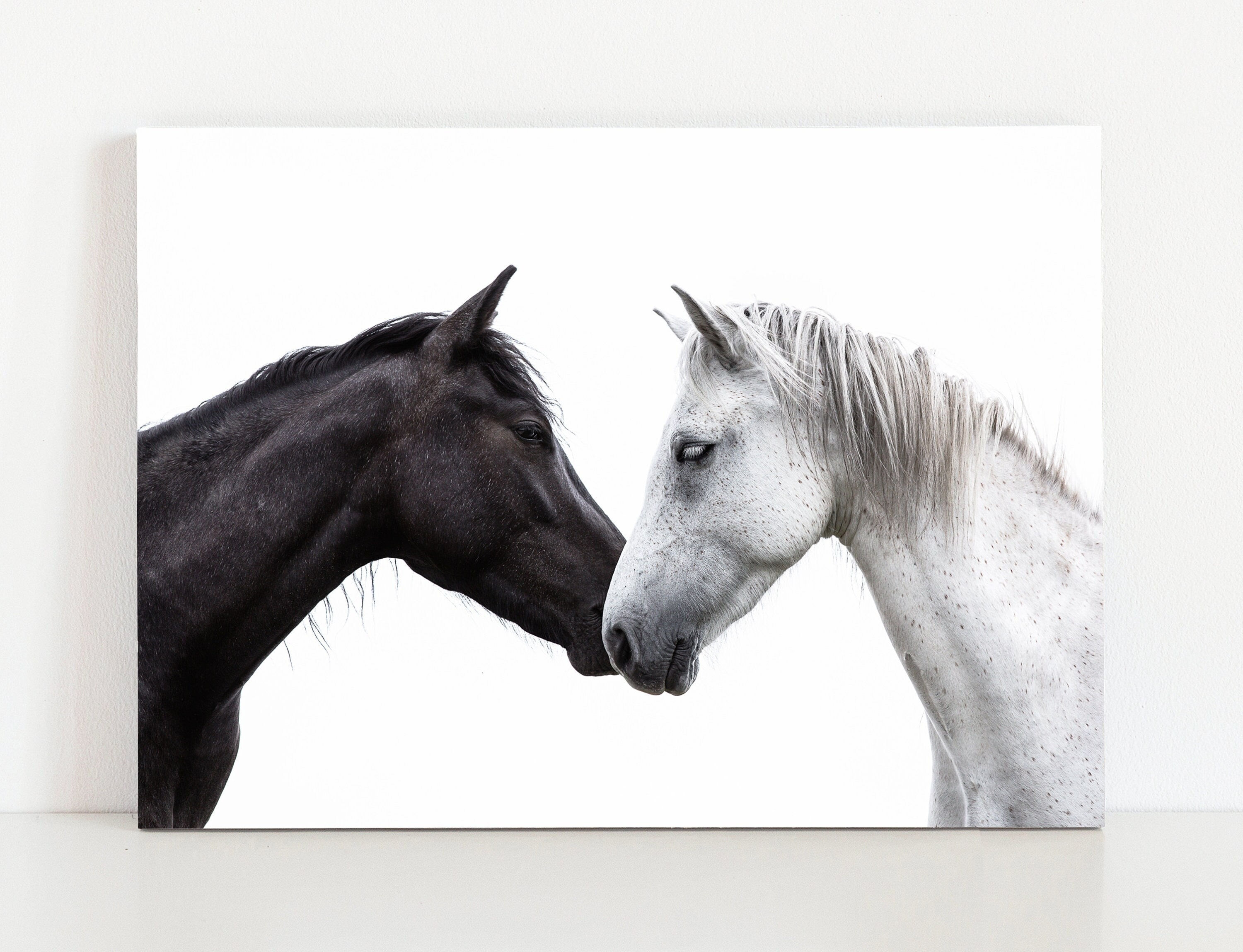 Wallpaper #CR2YLJMBlOZrFDOk0ssm147 Light to Your Dark Horse Photography Equine Wall Art Home Etsy