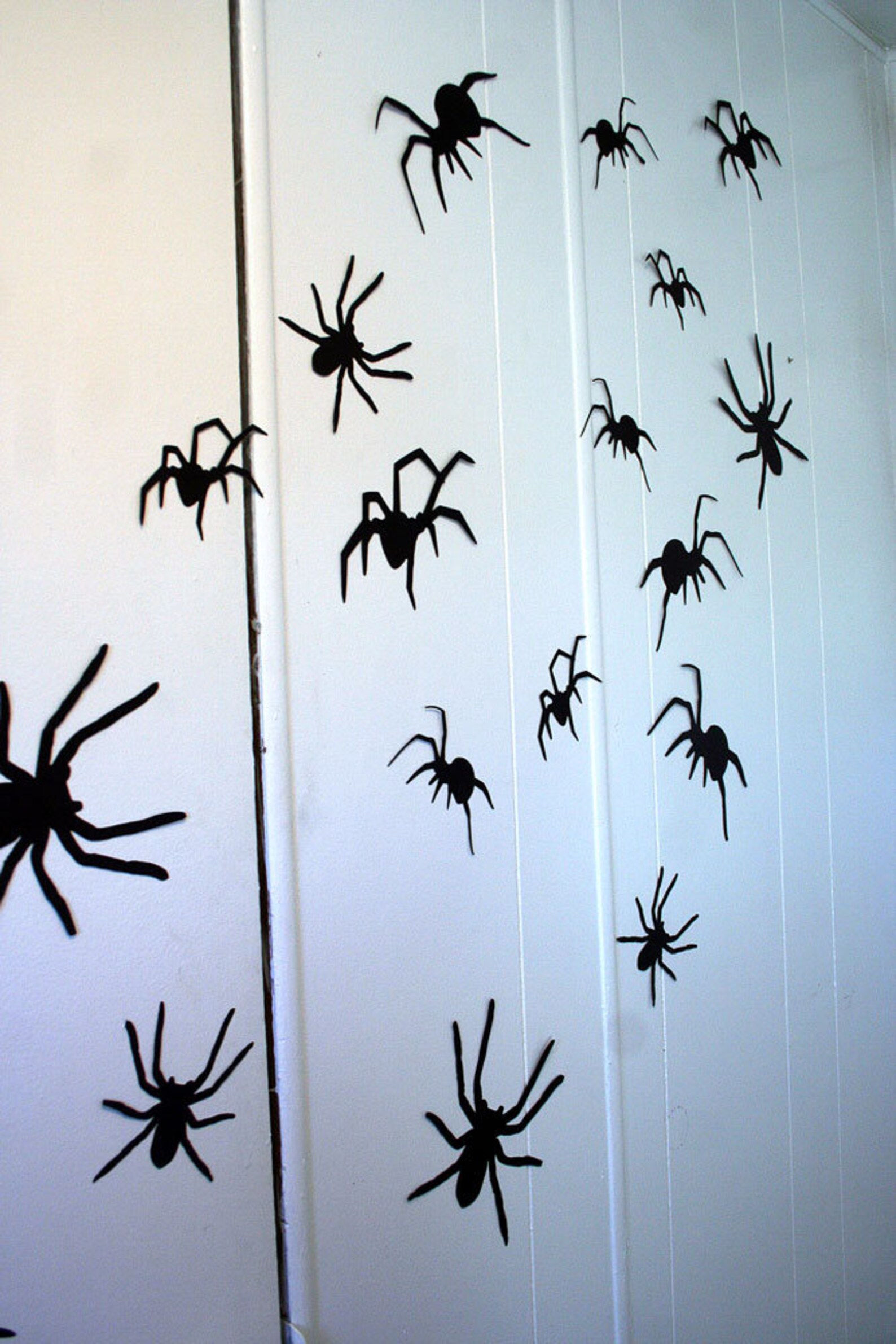 Wallpaper #9mdFCpMBSpphPi3-NNO028 3D Wall Decor Crawling Spiders Wall Decor Halloween Party Etsy