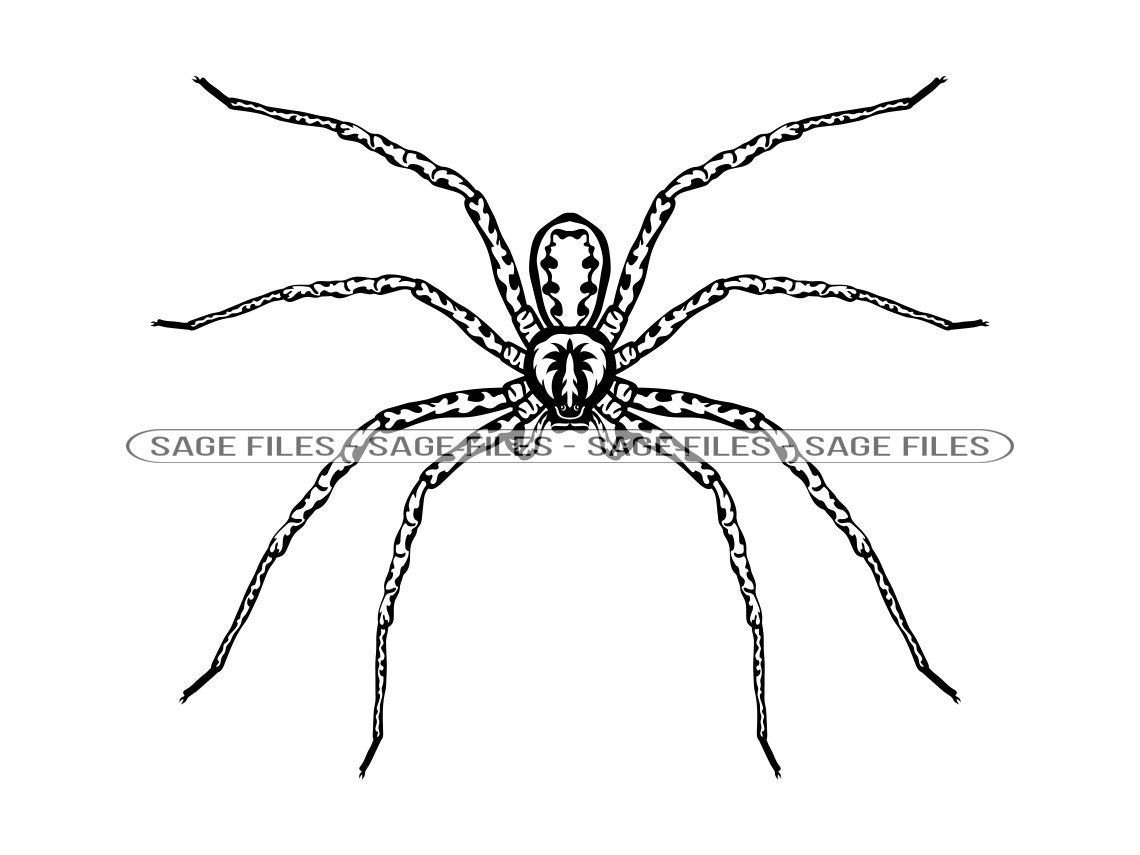 Wallpaper #gfRVOpMBKFX8bn3rWnh3192 Spider 8 Svg Spider Svg Spider Logo Svg Spider Clipart Etsy Singapore