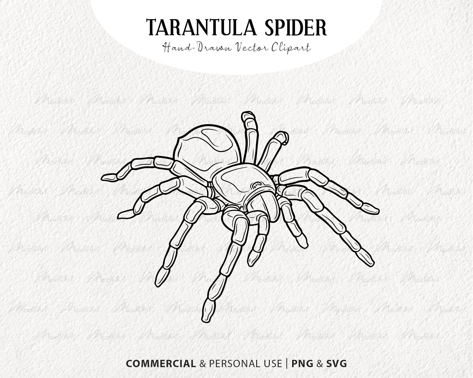 Wallpaper #RPS3OZMBKFX8bn3r6ncE281 Tarantula Spider Vector Clip Art Digital Printable Insect Line Drawing