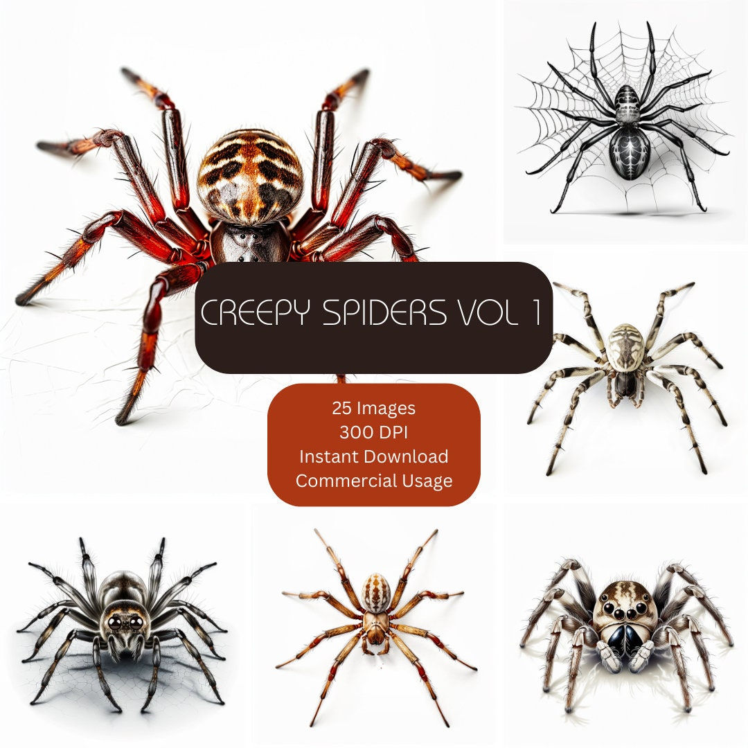 Wallpaper #k_RZOpMBKFX8bn3rE3j0169 Creepy Spiders Clip Art 25 Images 300 Dpi Commercial Use Creepy Crawly