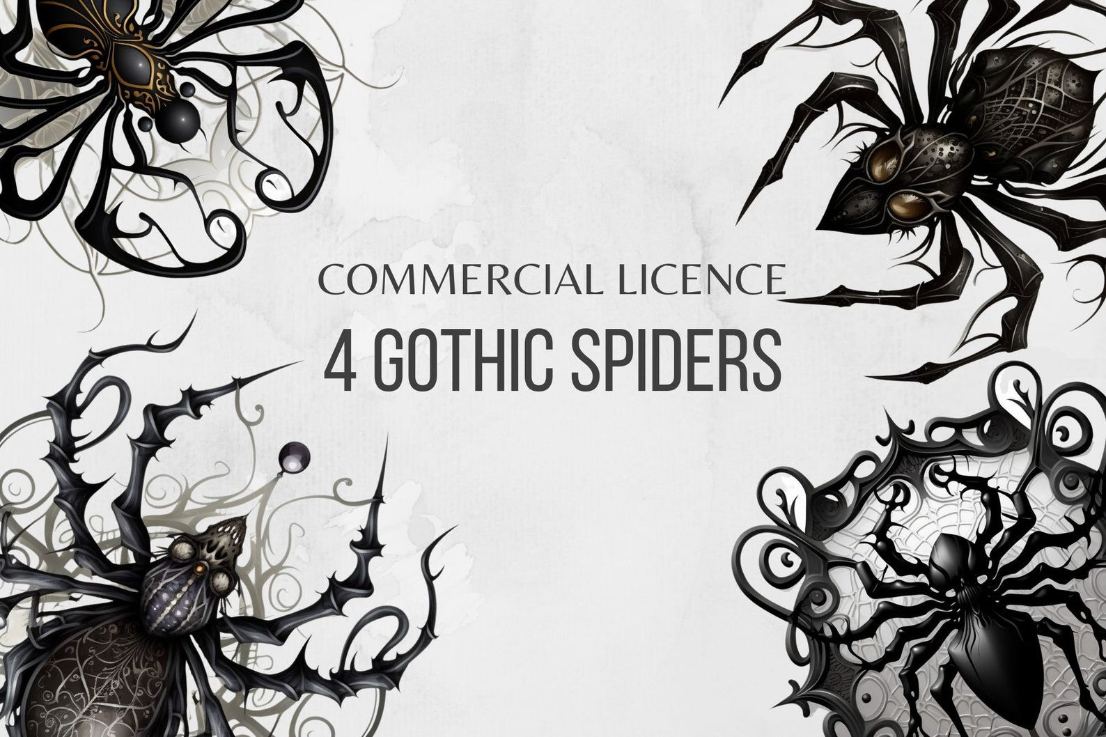 Wallpaper #k_RZOpMBKFX8bn3rE3j0274 Goth Spider Clipart Goth Spider Png Spiders Png Antique Halloween