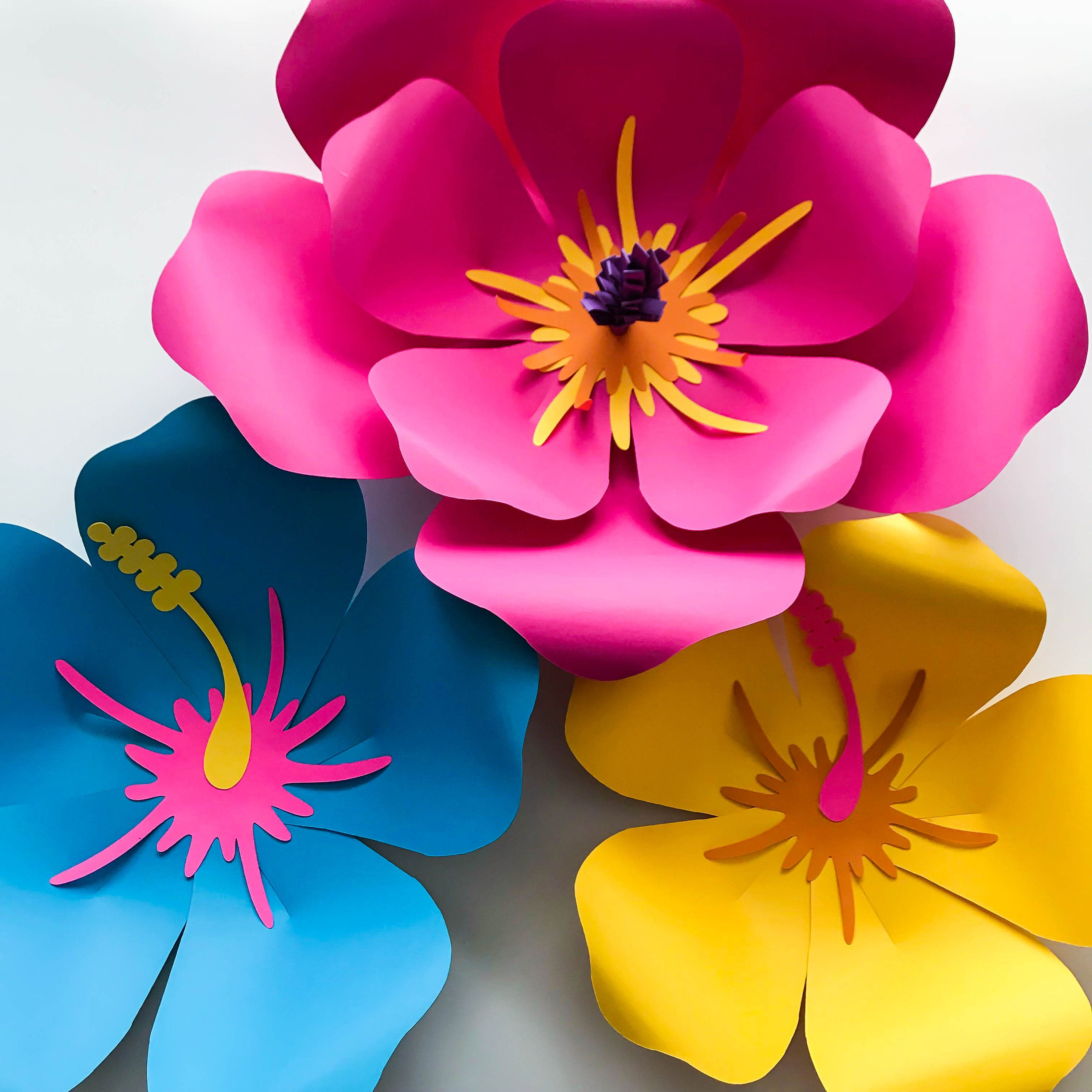 Wallpaper #8a759 Printable Downloadable Free Cricut Paper Flower Template