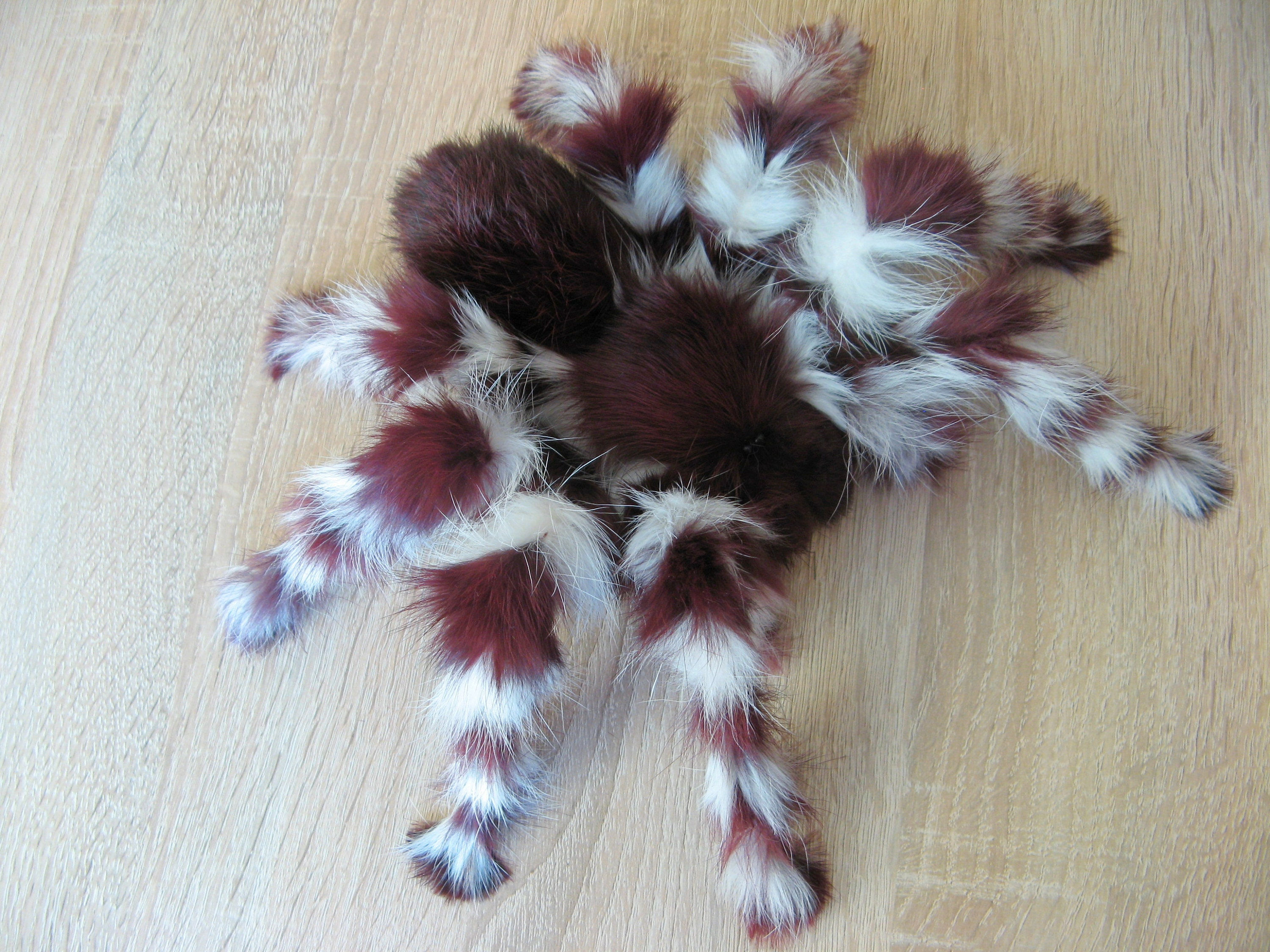 Wallpaper #3PQROpMBKFX8bn3rnHfv351 Burgundy Tarantula Realistic Fake Spider Real Fur Toy Etsy