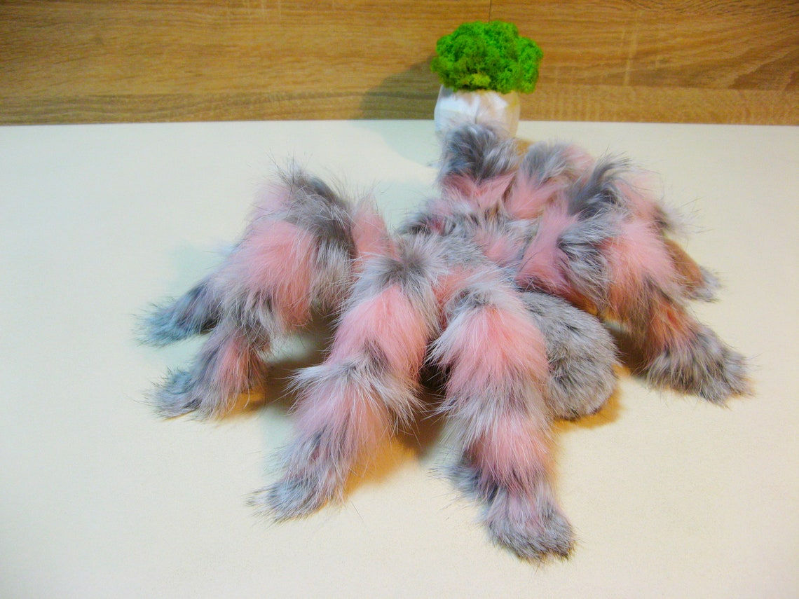 Wallpaper #3PQROpMBKFX8bn3rnHfv292 Spider Plush Tarantula Stuff Animal Toy Fake Insect Pink Etsy