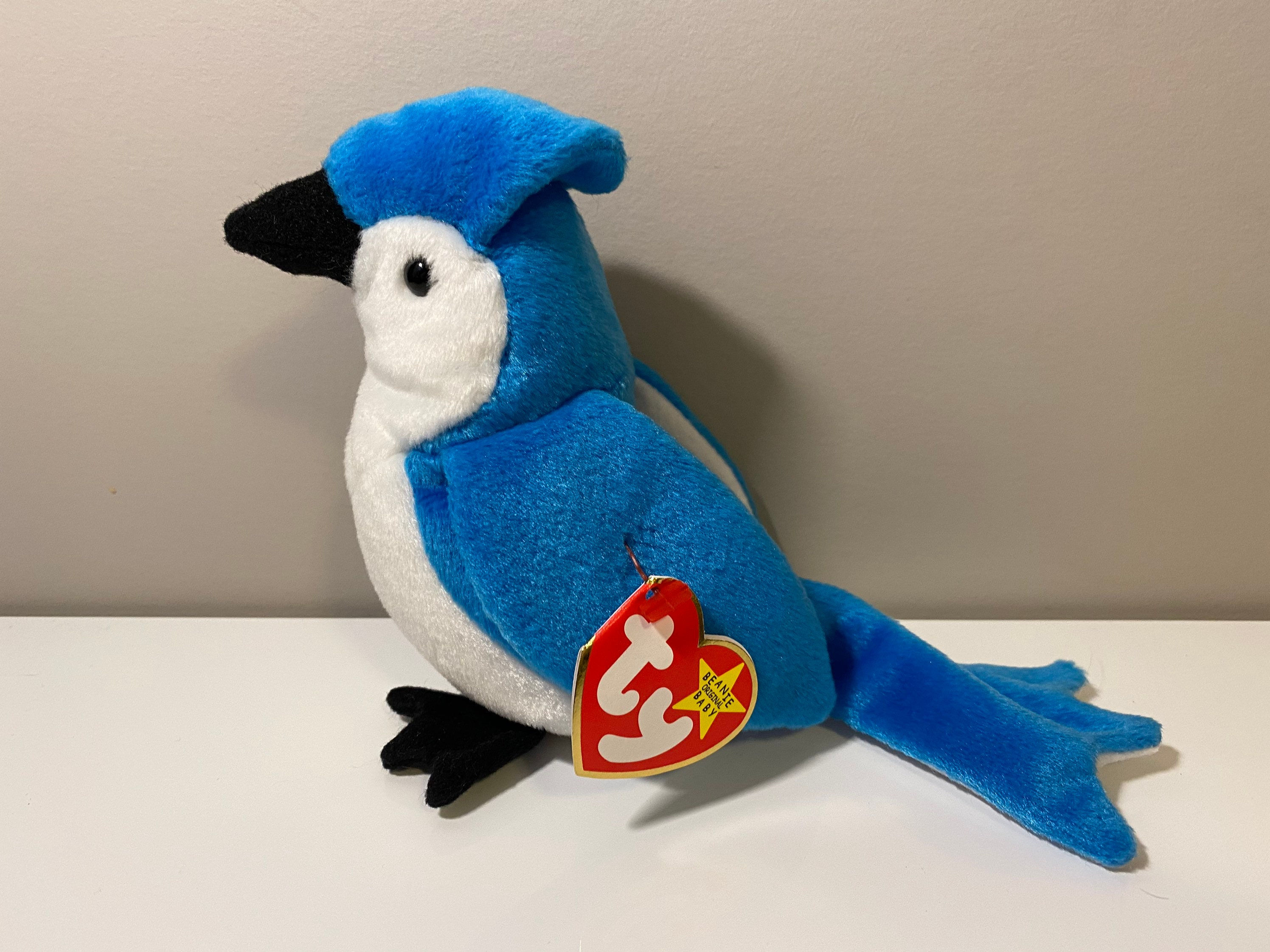 Wallpaper #SzHiNZMB5zzyi_yY6liz462 Ty Beanie Baby Rocket the Blue Jay 55 Inch Etsy