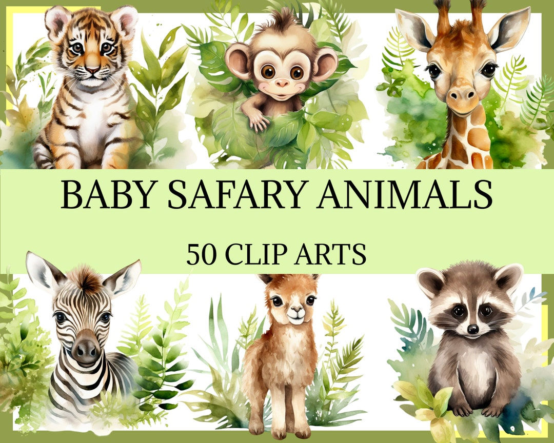 Wallpaper #03c4b Happy Jungle Safari Birthday Our Amhiraya Studio