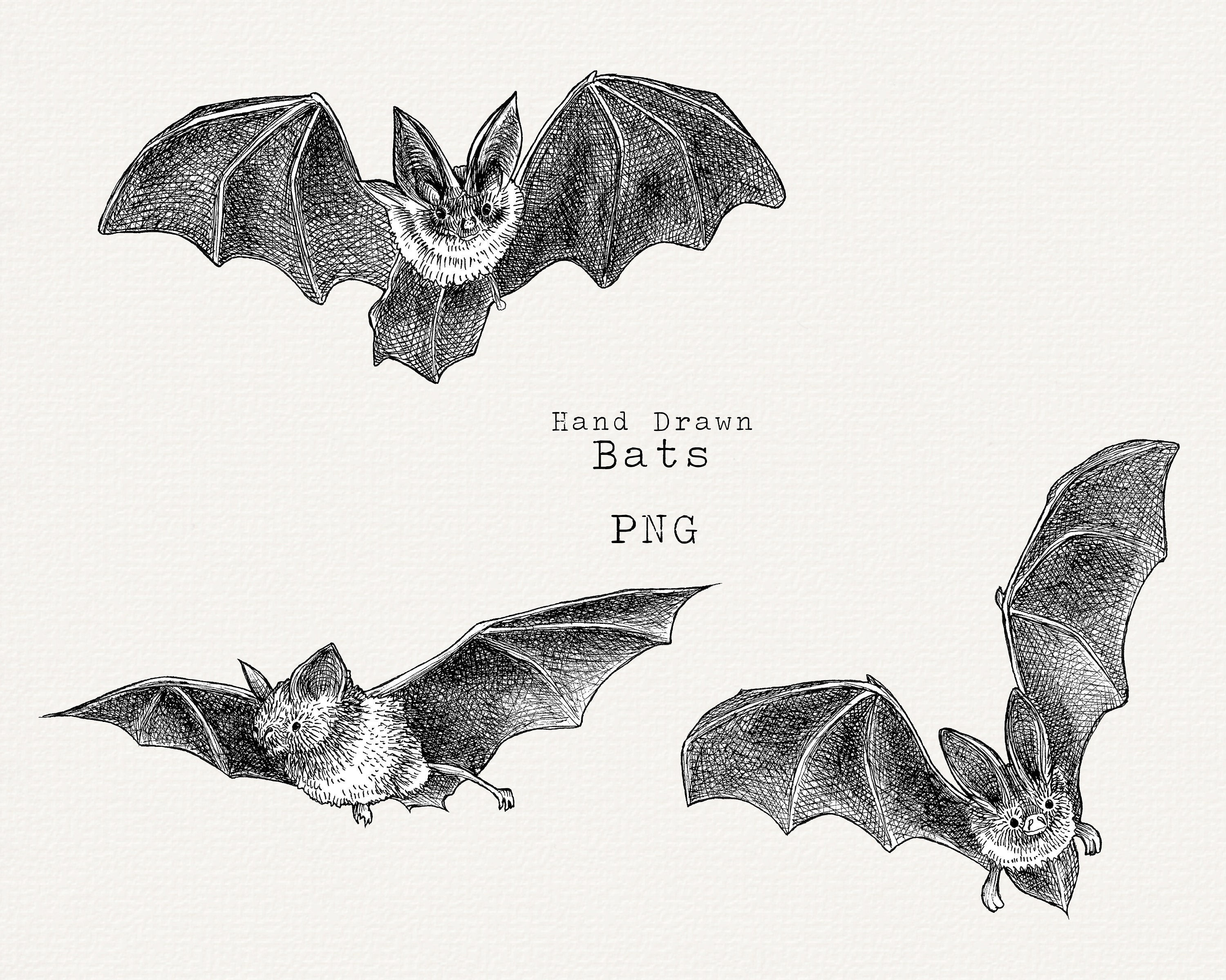 Wallpaper #80b81 Halloween Moon Bats Clipart Halloween Clipart Bats Etsy