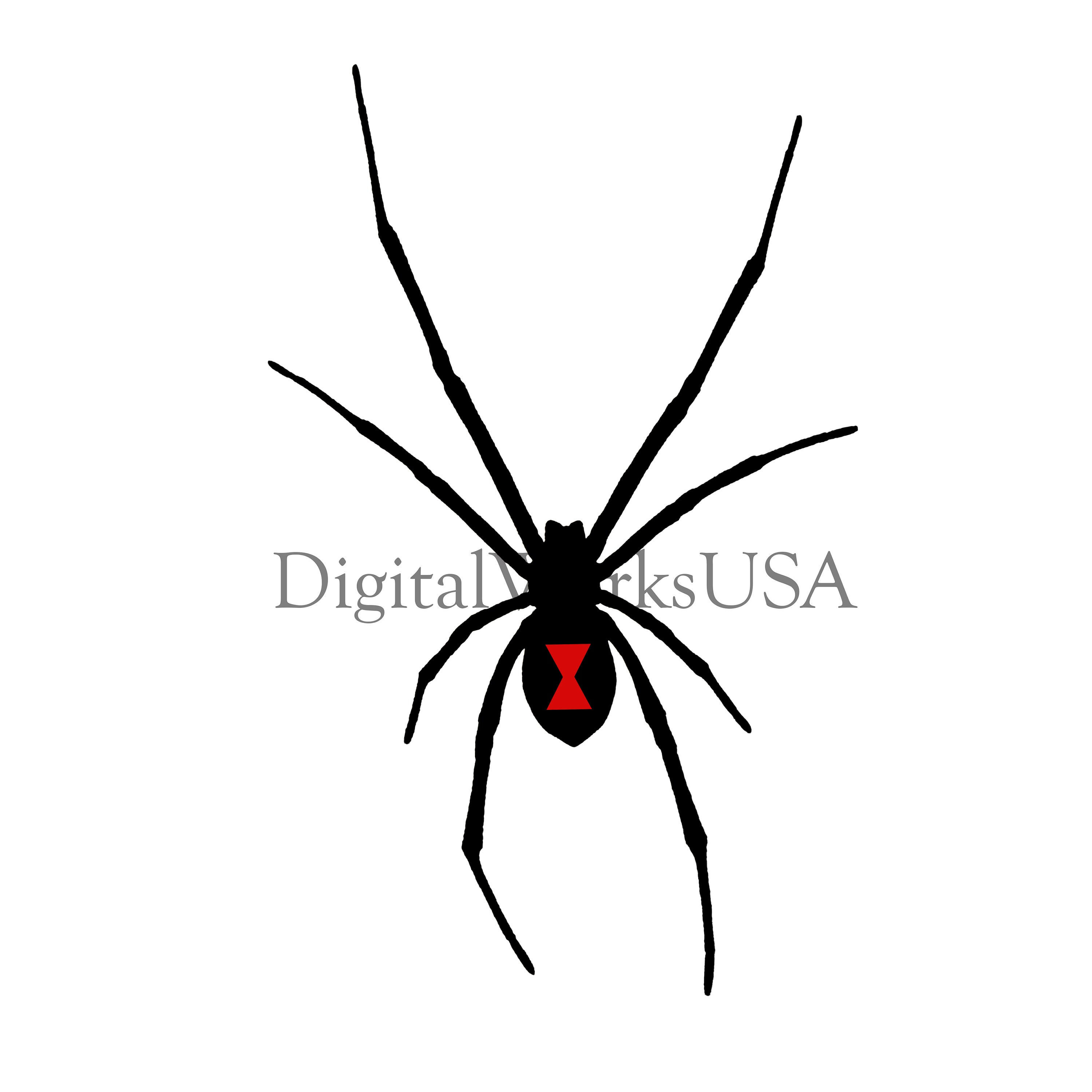 Wallpaper #5vQUOpMBKFX8bn3rPHdj359 Black Widow Spider Clipart Image Jpg Png Etsy