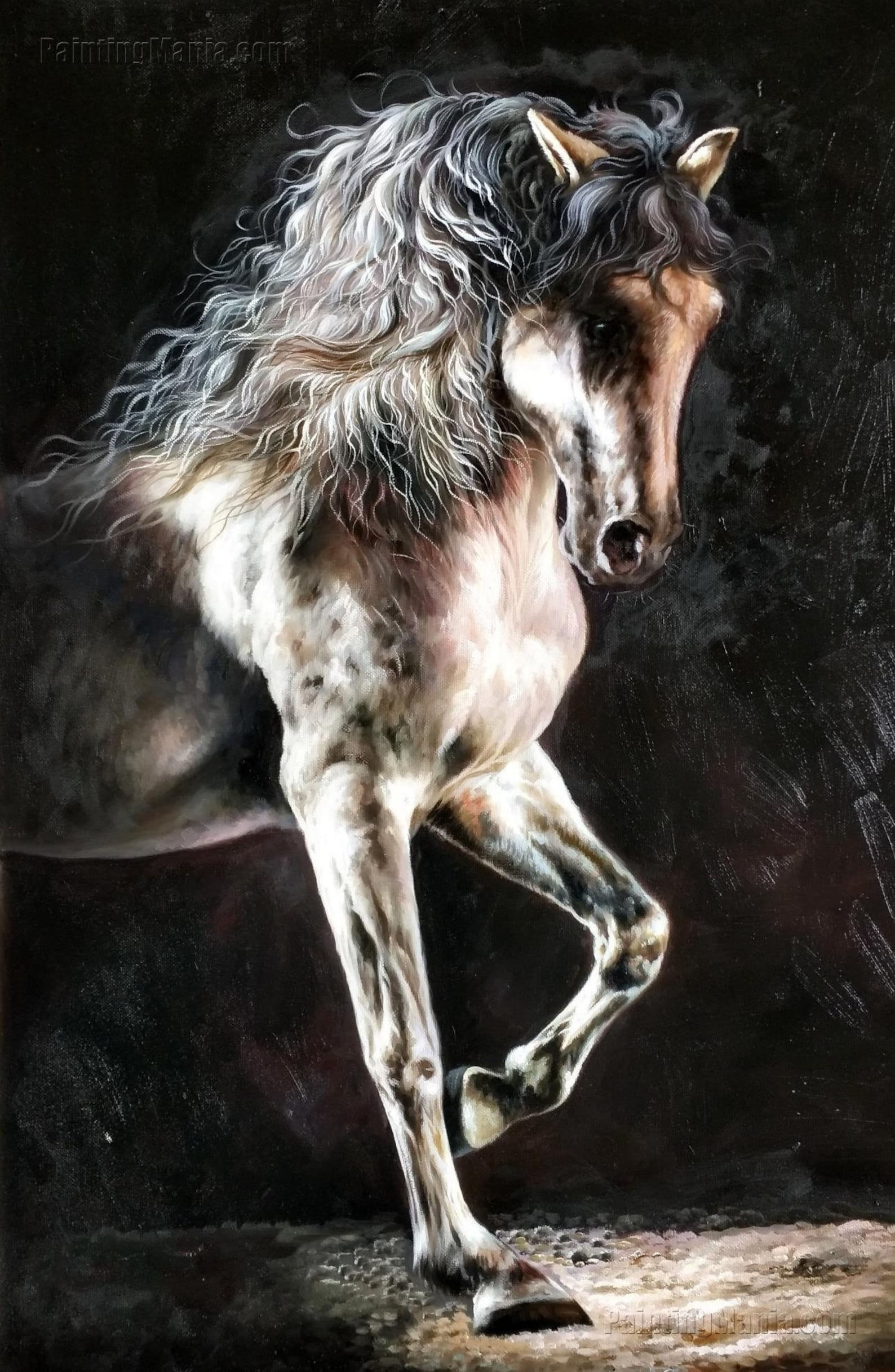 Wallpaper #bWfaEpMBSpphPi3-4_0h366 The Horse with Black Background High Quality Hand Painted Etsy