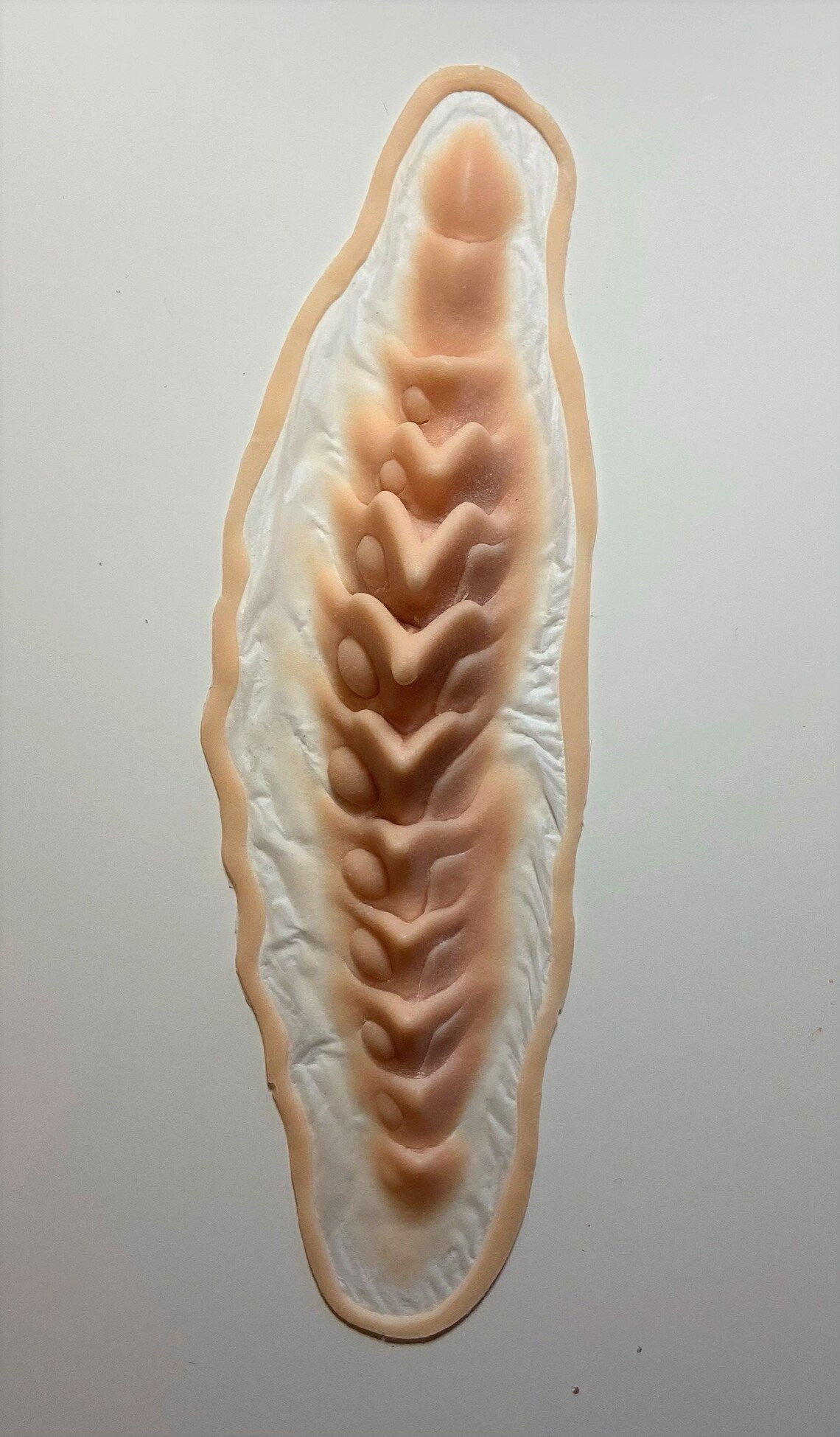 Wallpaper #HmeNC5MBSpphPi3-KNo975 The Alien Spine Sci Fi Prosthetic Sfx Make Up Etsy