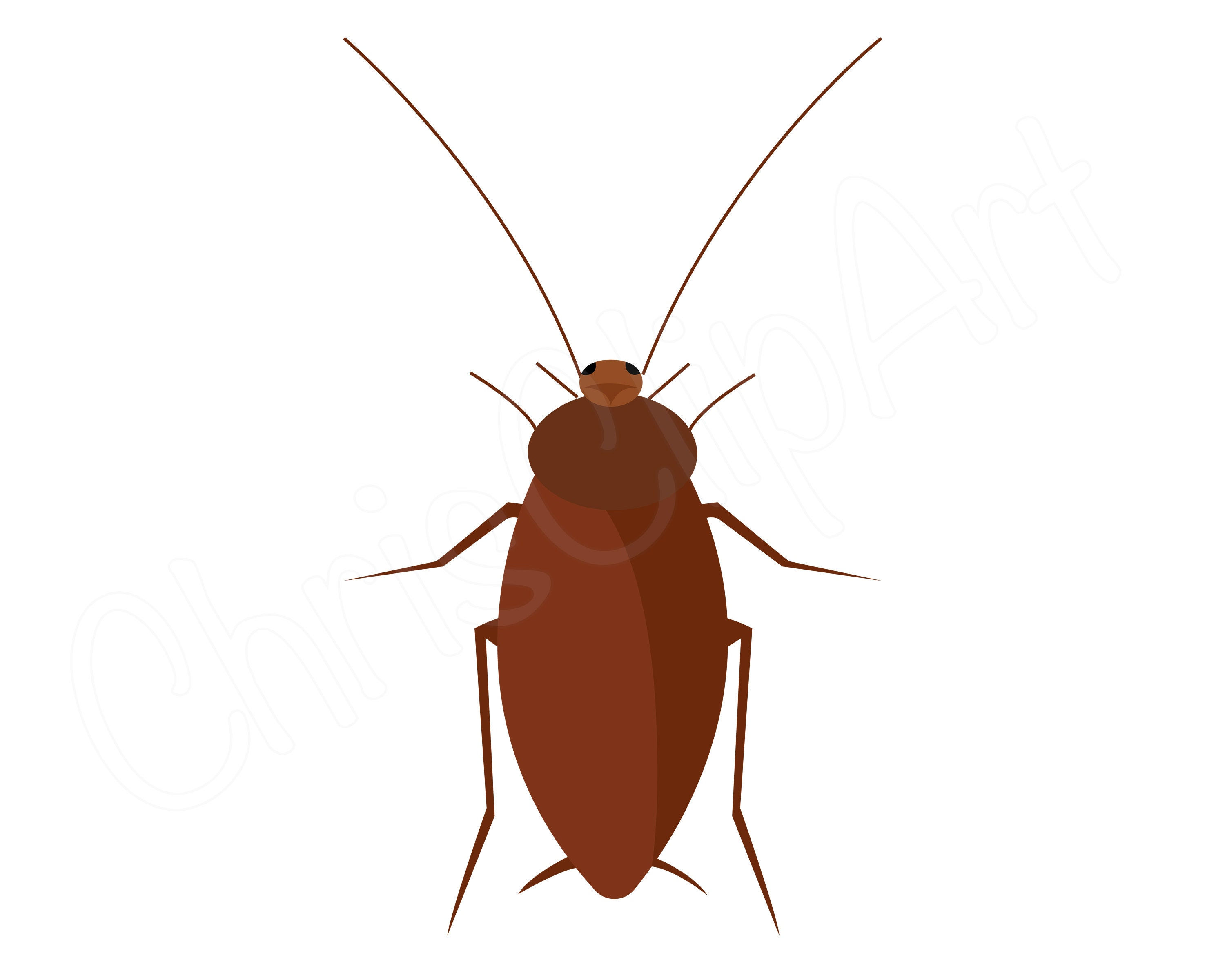 Wallpaper #SWdXCpMBSpphPi3-q9Qk292 Cockroach Png Cockroach Svg Cockroach Clipart Cockroach Etsy Canada