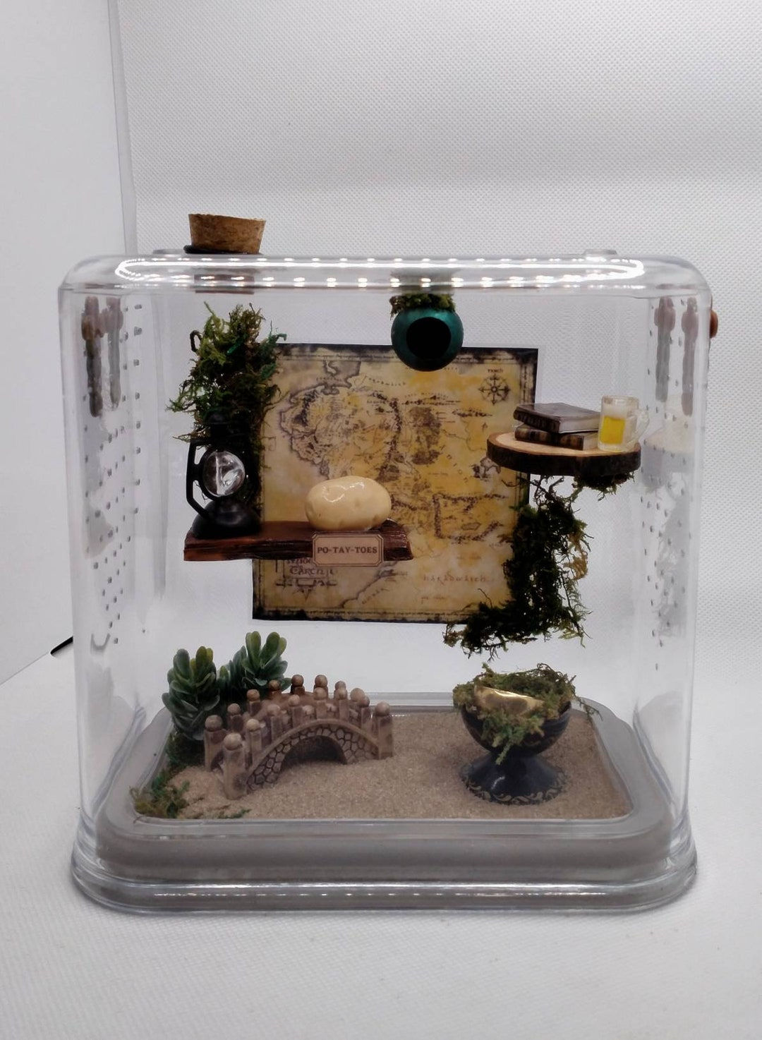 Wallpaper #wmfS65IBSpphPi3-9k4K355 Jumping Spider Enclosures Stackable Enclosures Custom Made Upon Request