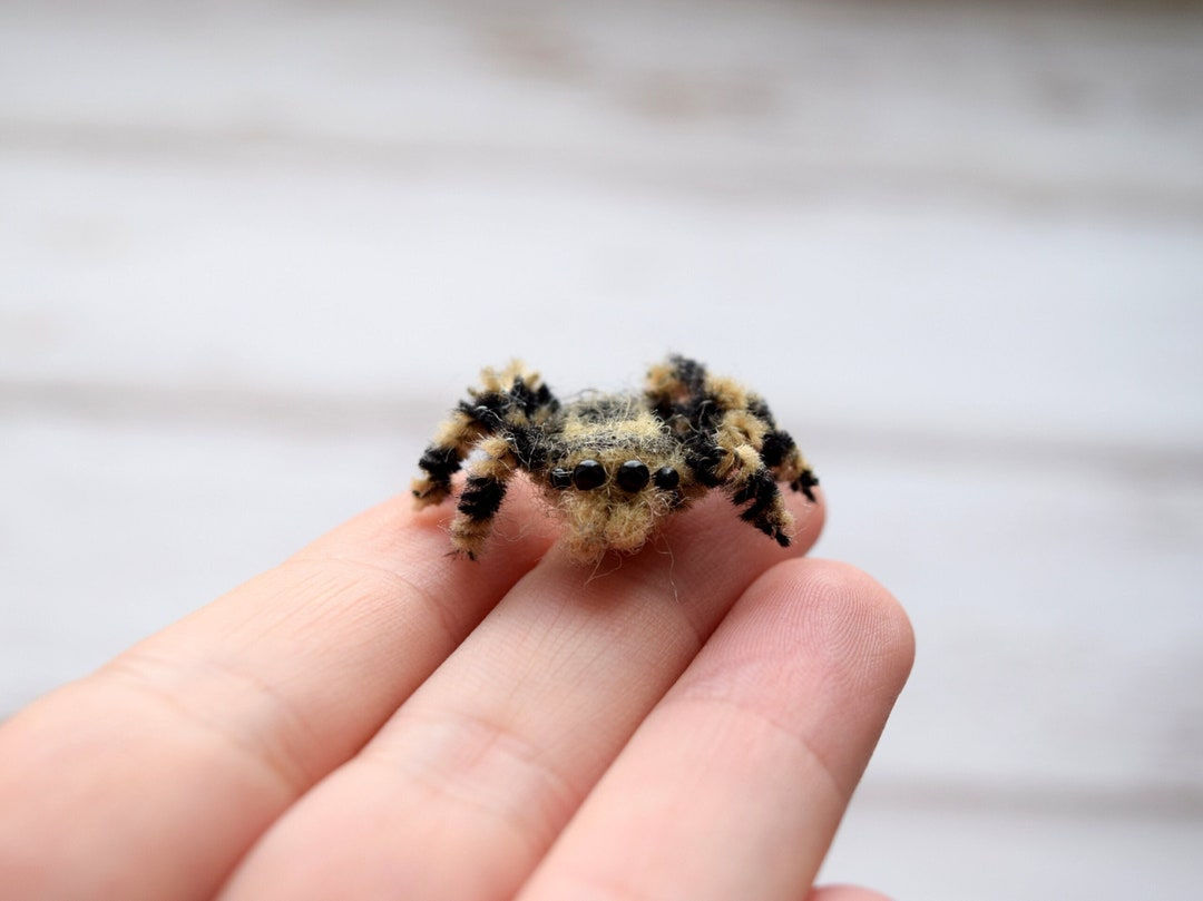 Wallpaper #3PQROpMBKFX8bn3rnHfv303 Spotted Jumping Spider Plush Figurine Dollhouse Ornament Micro Spider