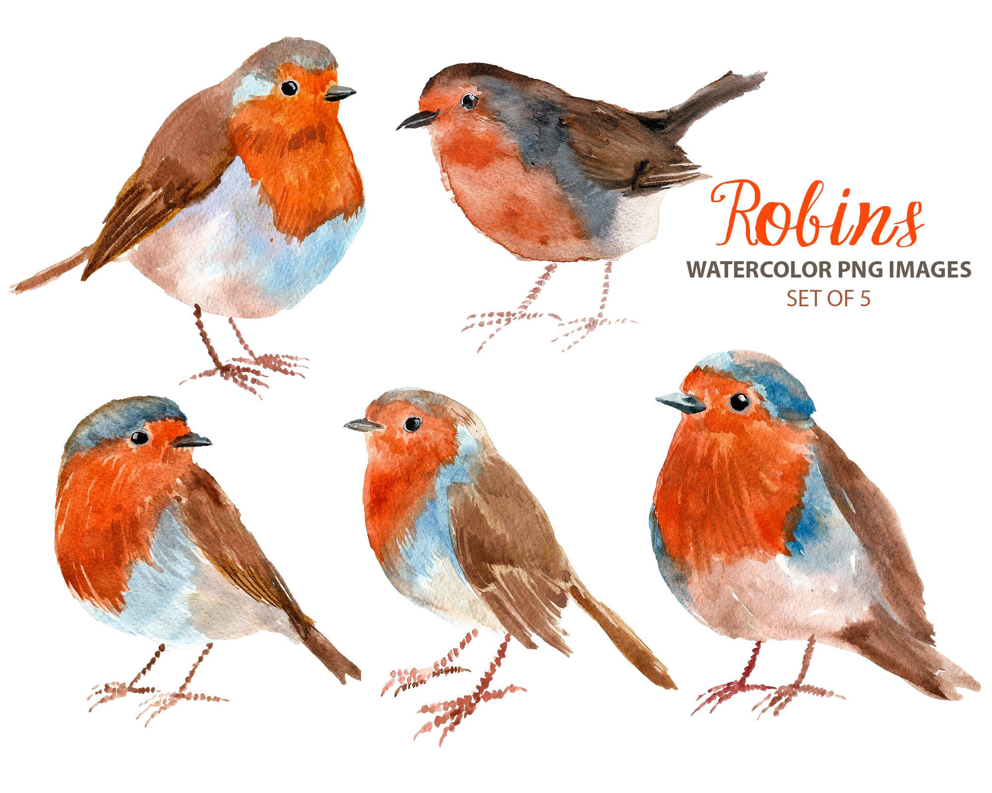 Wallpaper #afTDOpMBKFX8bn3rxXlk291 Robin Clipart Woodland Nursery Clip Art Watercolor Bird Illustration Etsy
