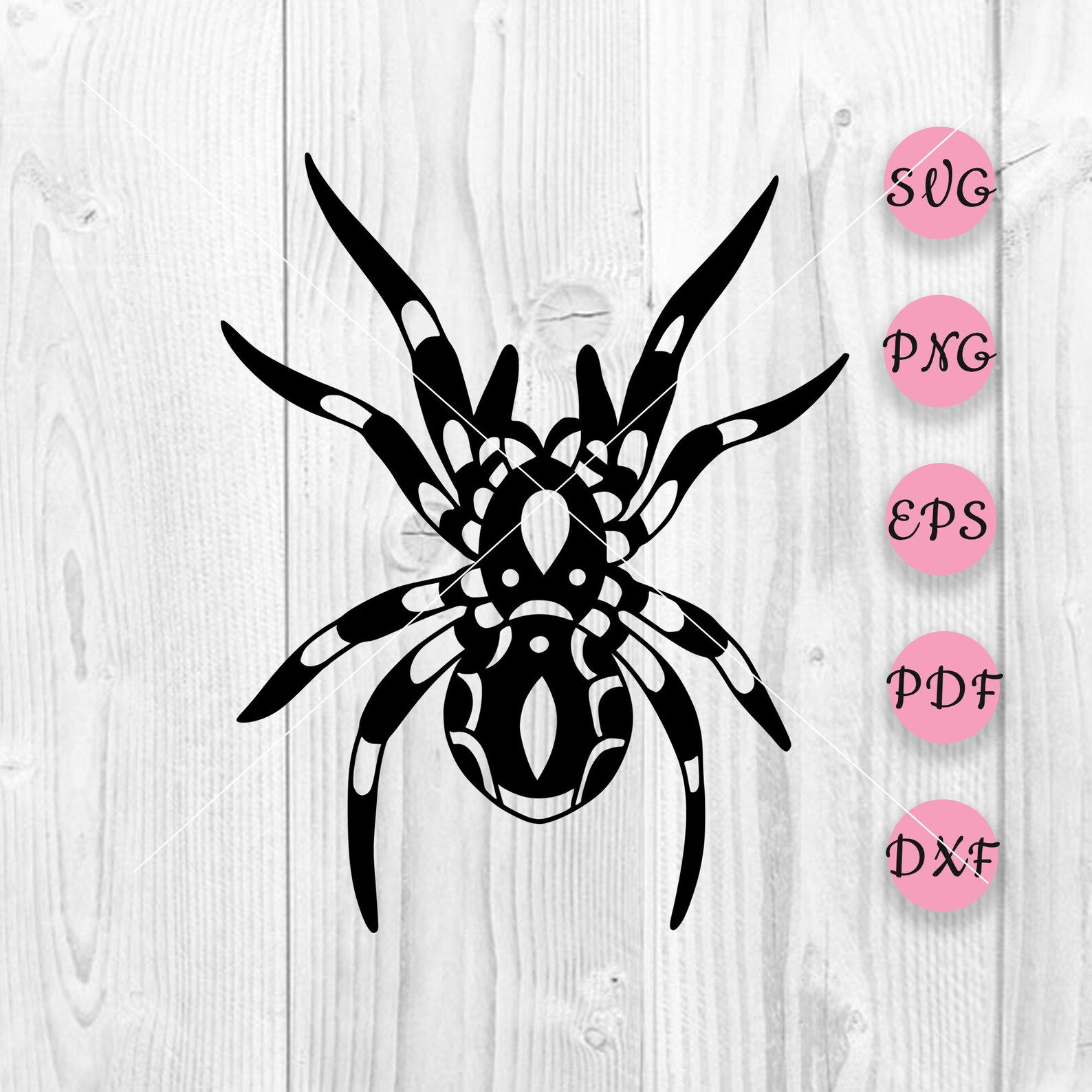 Wallpaper #RPS3OZMBKFX8bn3r6ncE186 Spider Svg Spiders Svg Halloween Spiders Svg Spooky Spiders Cut File