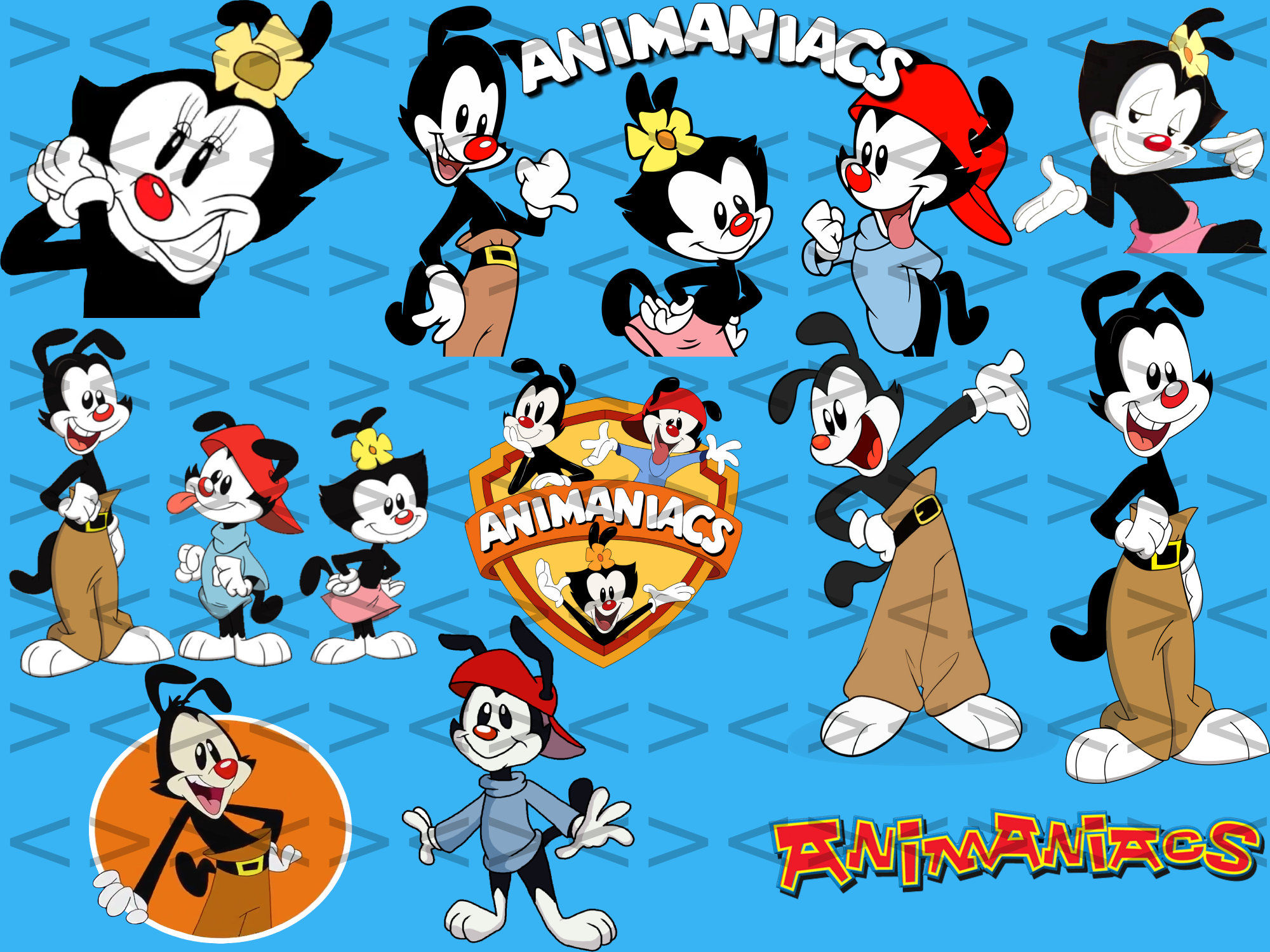 Wallpaper #UEBvMJMBJhL2WPbav8H-56 Animaniacs Animaniacs Svg Animaniacs Clipart Animaniacs Cut Etsy