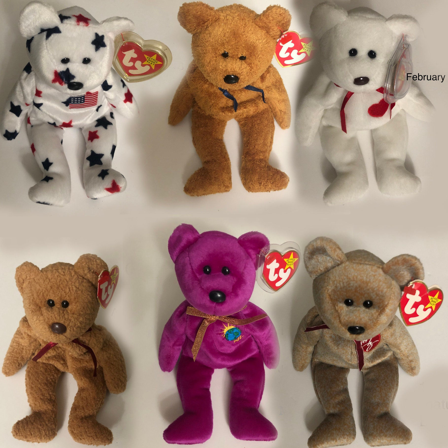 Wallpaper #SzHiNZMB5zzyi_yY6liz297 Vintage Ty Beanie Babies Collectible Bear Plastic Case Available Etsy