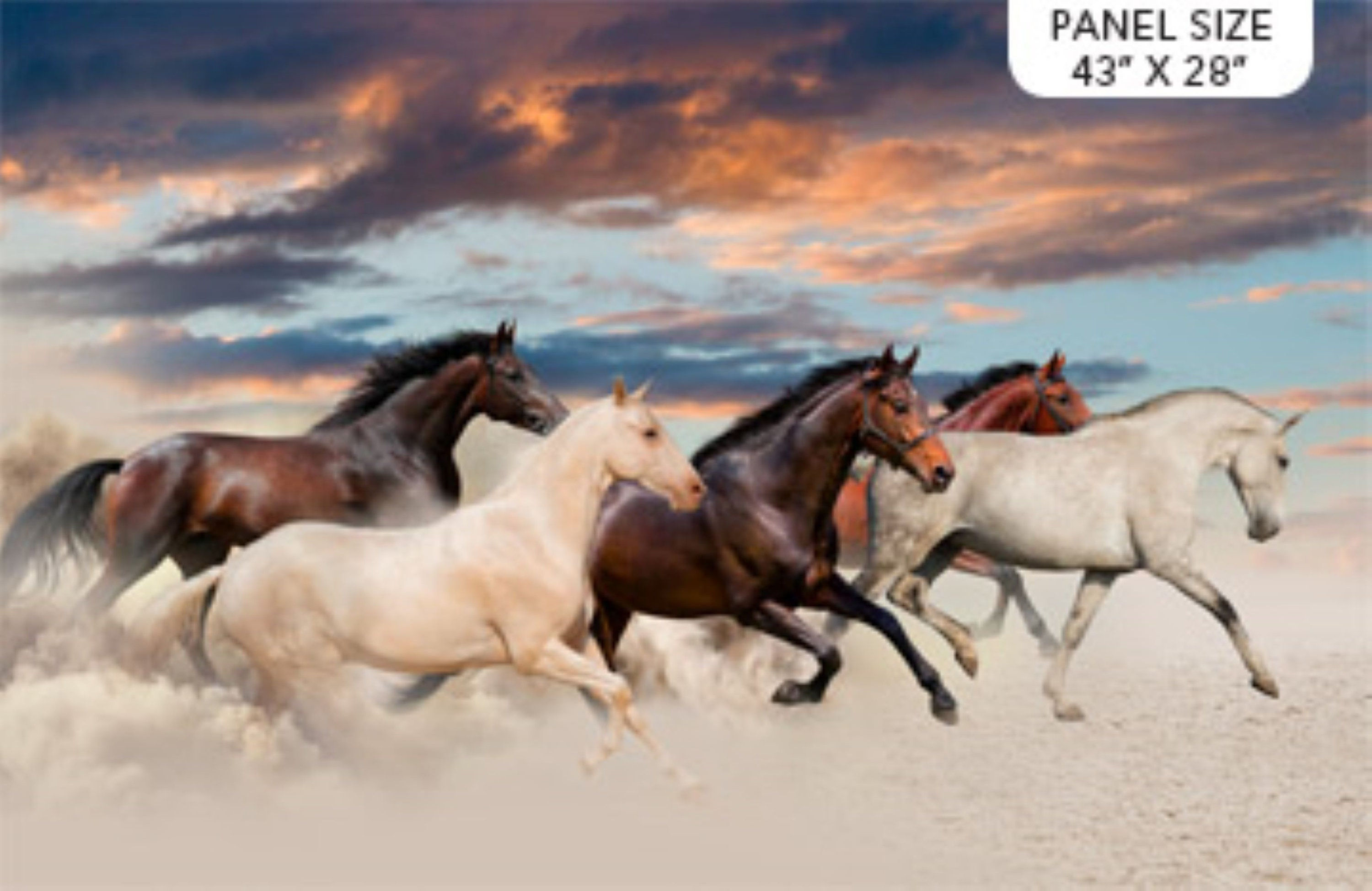 Wallpaper #IkWpjo4B7YBJg1BV953b17 Galloping Mustang Panel Dp23614 12 Etsy