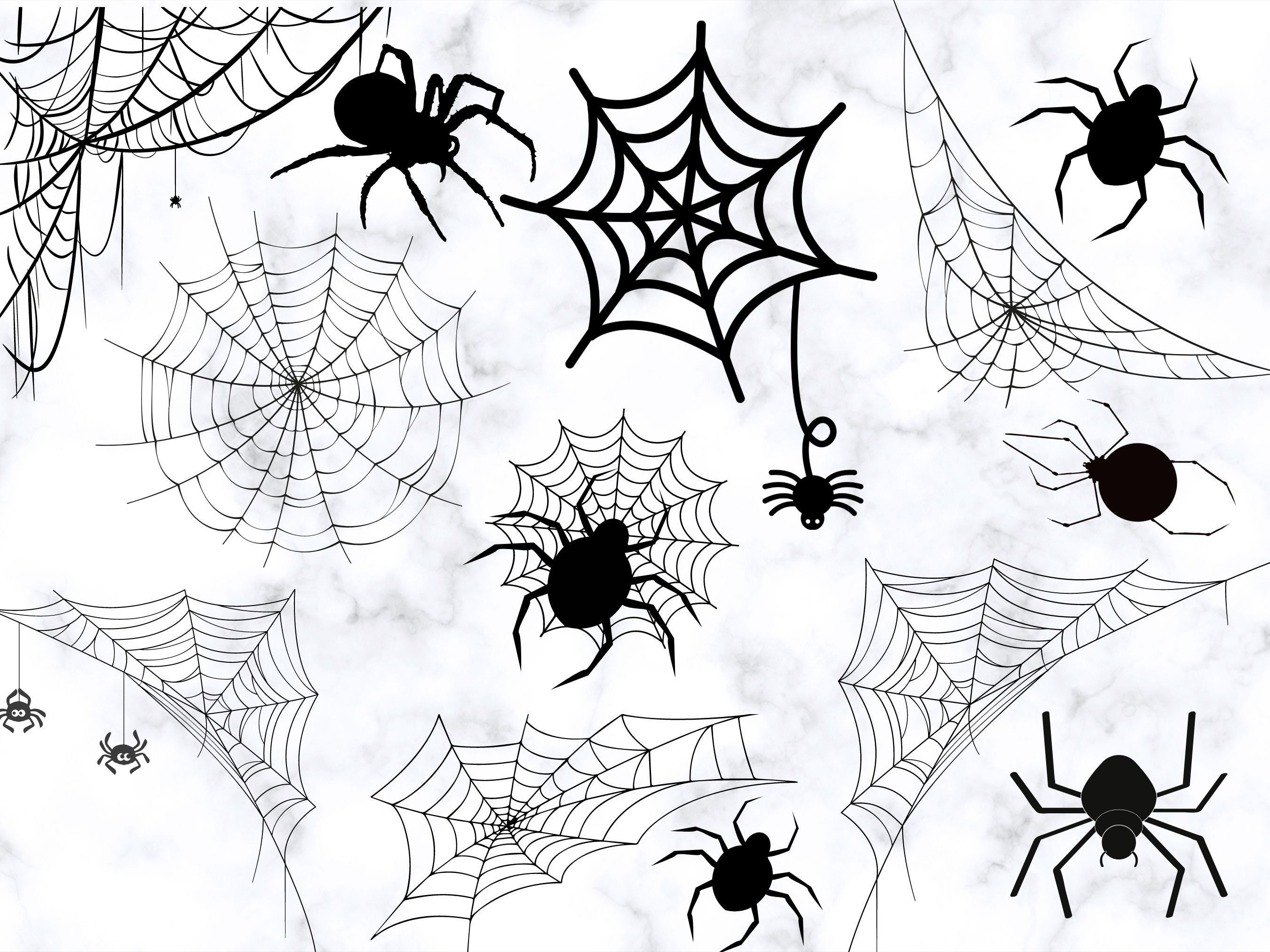 Wallpaper #7v_Ka5MB3lSXT3zUneiq327 Spider Web Svg Bundle Cobweb Svg Scarp Spider Svg Spiders Svg Web
