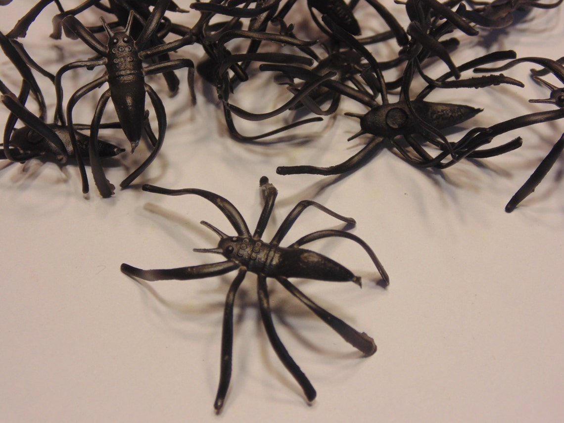 Wallpaper #HfQqOpMBKFX8bn3rhHgw76 6 Large Plastic Spiders 45 Mm Rr4 Etsy