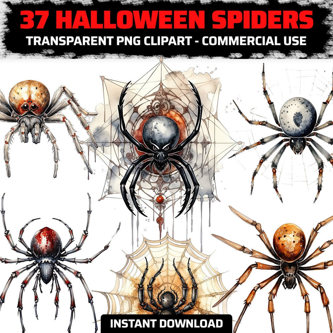 Wallpaper #k_RZOpMBKFX8bn3rE3j0291 Spider Clipart Spiders Png Halloween Spider Clipart Spooky Clipart