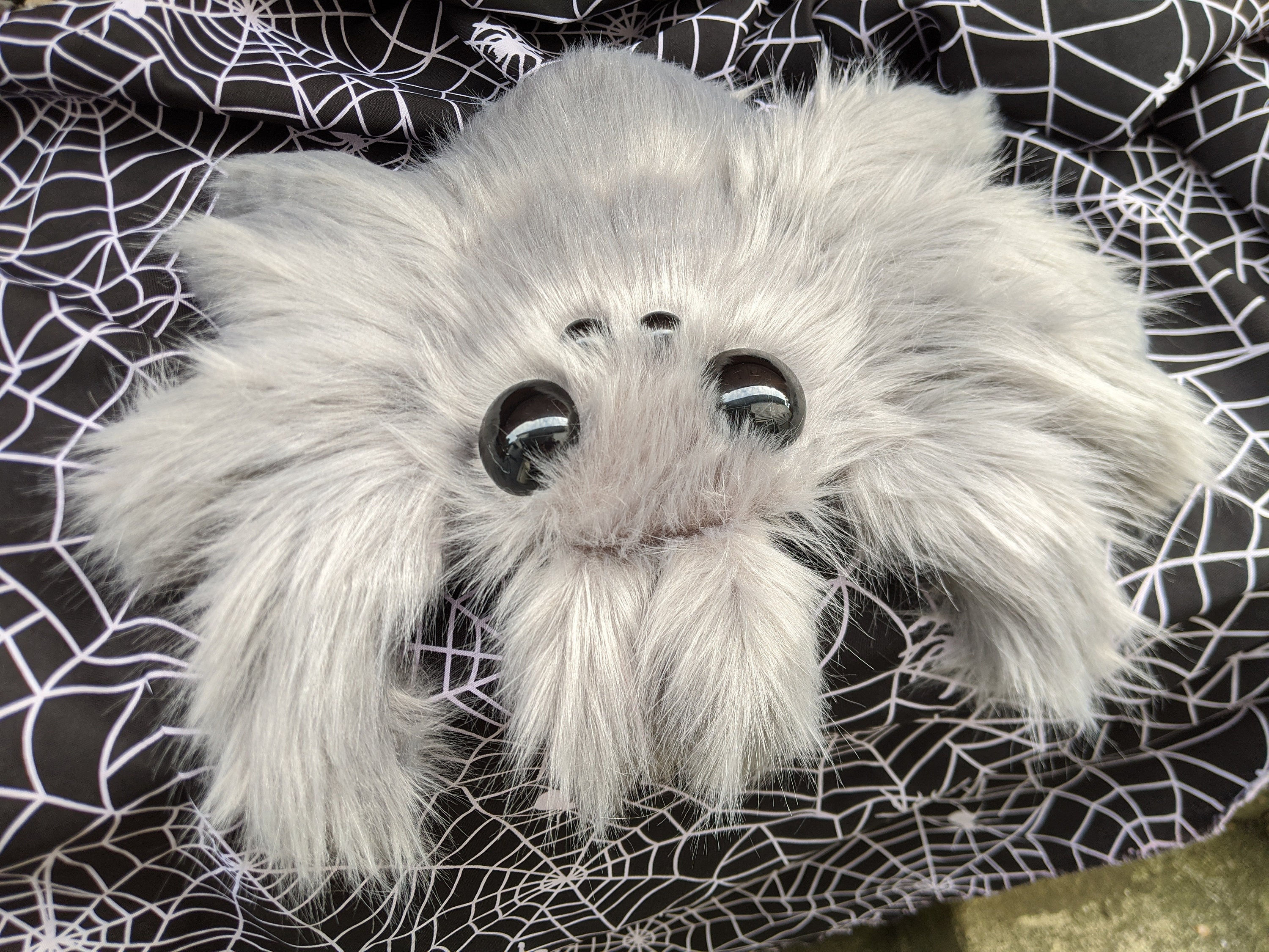 Wallpaper #3PQROpMBKFX8bn3rnHfv39 Jumping Spider Plush Made to Order 15 Inch Handmade Plush Toy Etsy