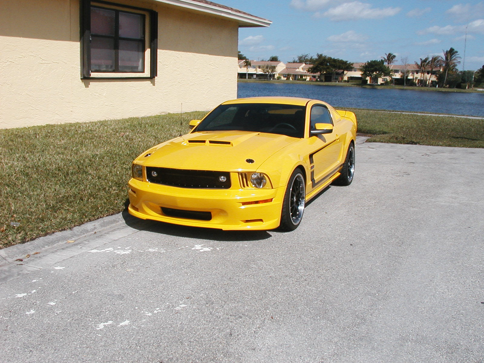 Wallpaper #ZxeiPpMBPLD5_VENJeDY257 06 Front Bumper Ideas Needed the Mustang Source Ford Mustang Forums