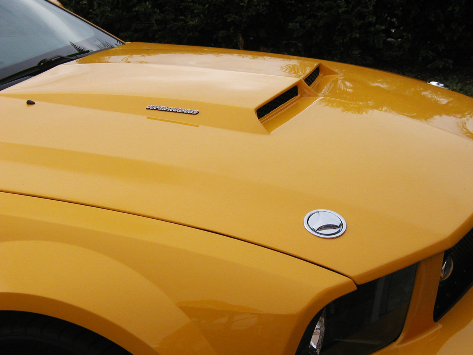 Wallpaper #mhnBB48BtGB6xQ78S1ev57 Hood Pins the Mustang Source Ford Mustang Forums