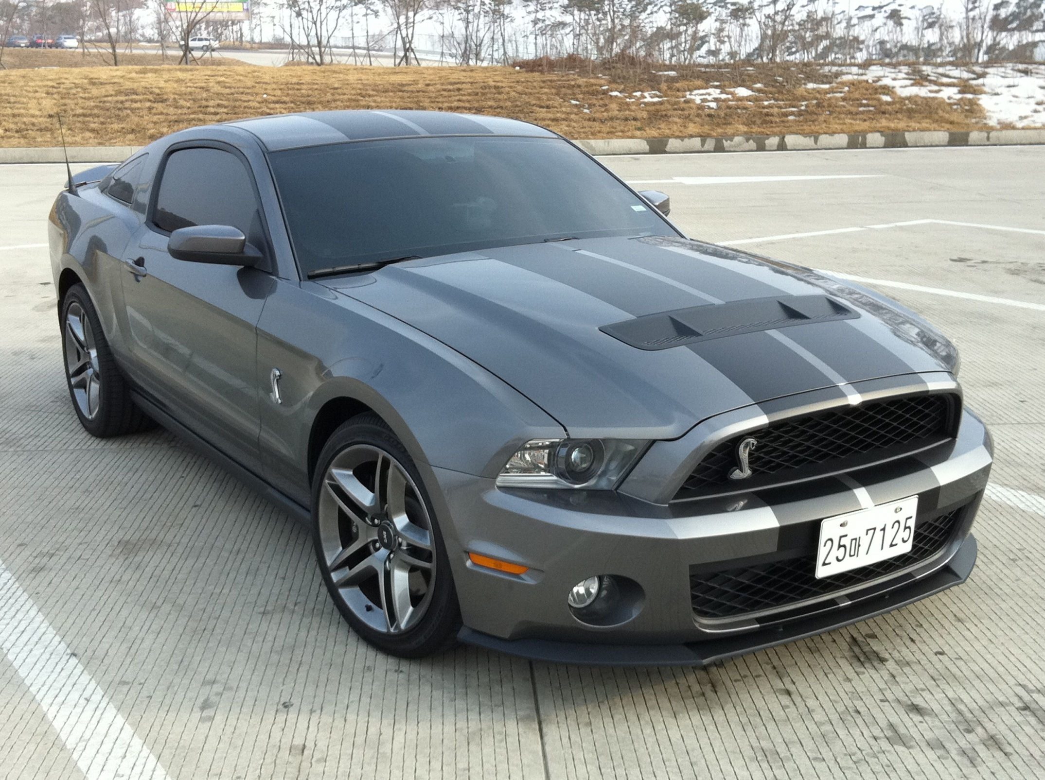 Wallpaper #q4IoQJMB0GiFKesMV8Cc22 My 2011 Shelby Gt500 the Mustang Source Ford Mustang Forums