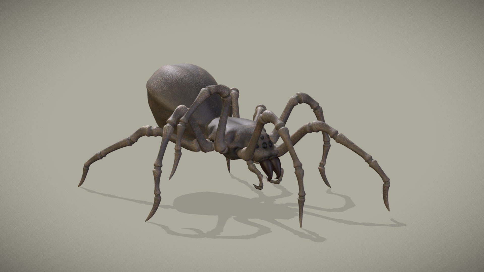 Wallpaper #HxkOE48BtGB6xQ78w2Wm8 Spider Walk Cycle Animation Buy Royalty Free 3D Model by Kyan0s